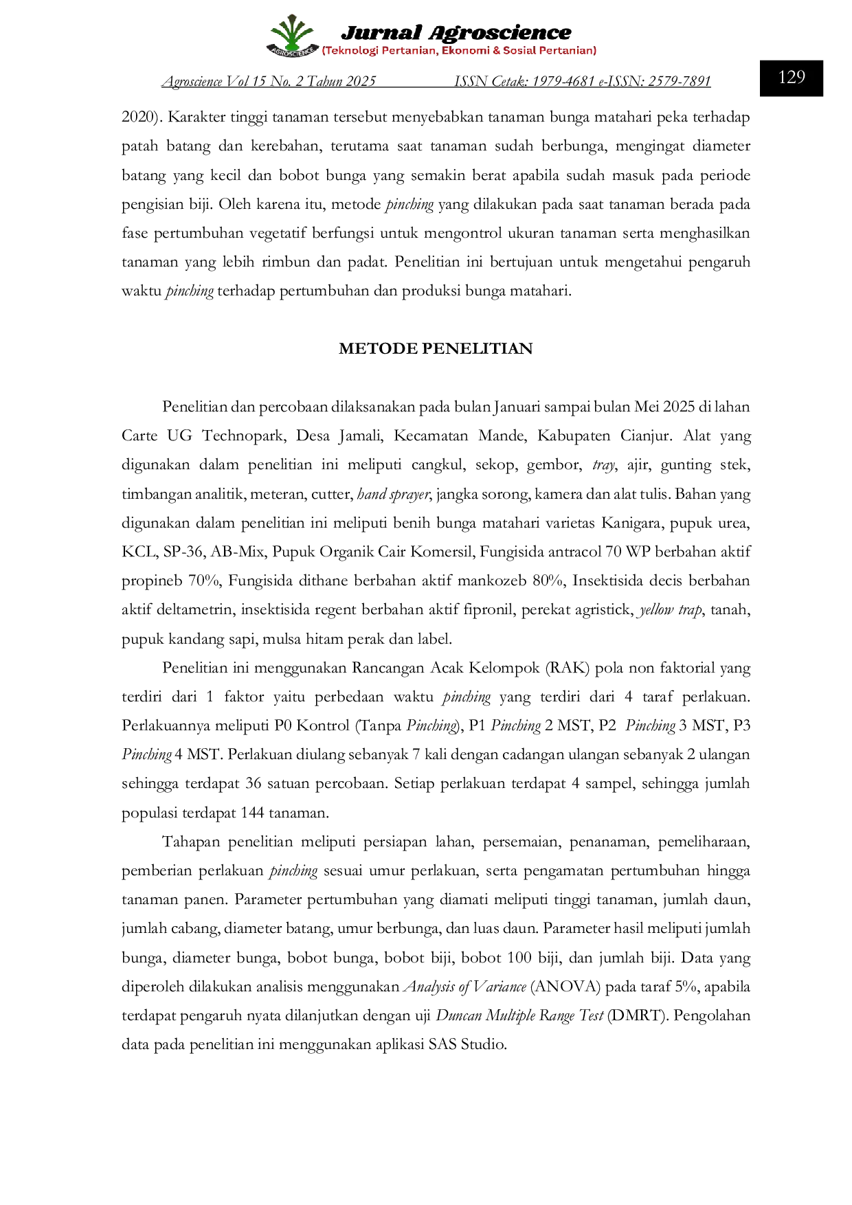 JURIS PENGARUH WAKTU PINCHING TERHADAP PERTUMBUHAN DAN HASIL BUNGA MATAHARI Helianthus annuus L