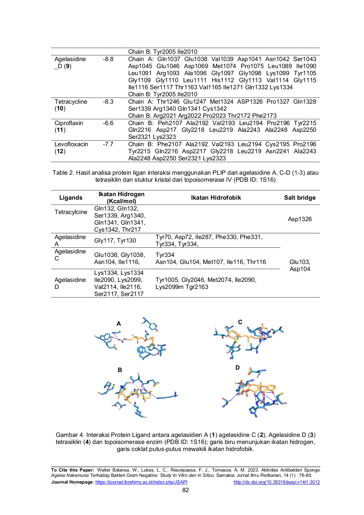 JURIS Aktivitas Antibakteri Sponge Agelas Nakamurai Terhadap Bakteri Gram Negative Study In Vitro dan In Silico
