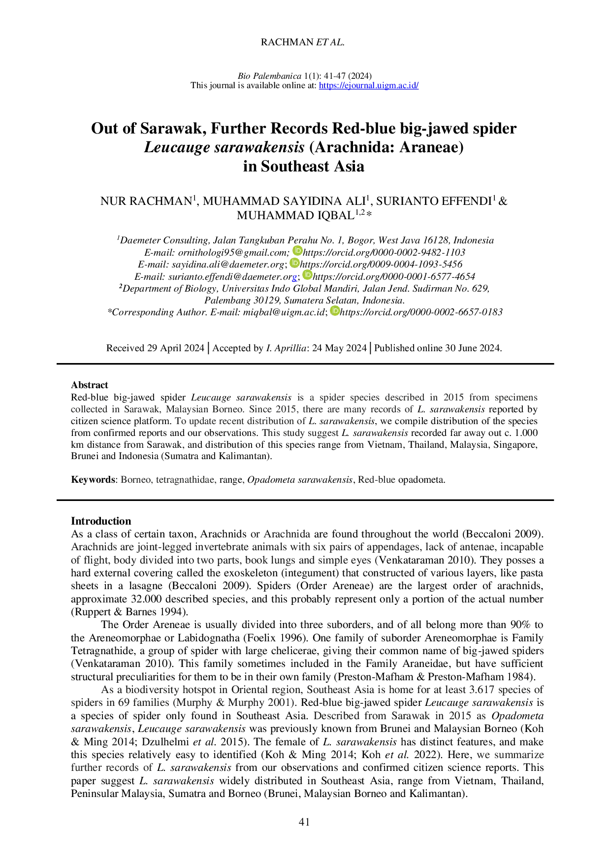 JURIS Out of Sarawak Further Records Red blue big jawed spider Leucauge sarawakensis Arachnida Araneae in Southeast Asia