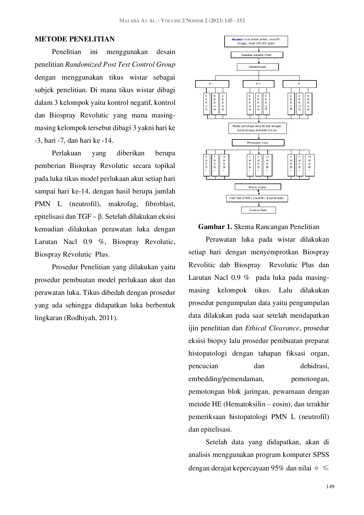 JURIS Efektifitas Sediaan Biospray Revolutic dalam Menurunkan Jumlah PMN L dalam Proses Penyembuhan Luka