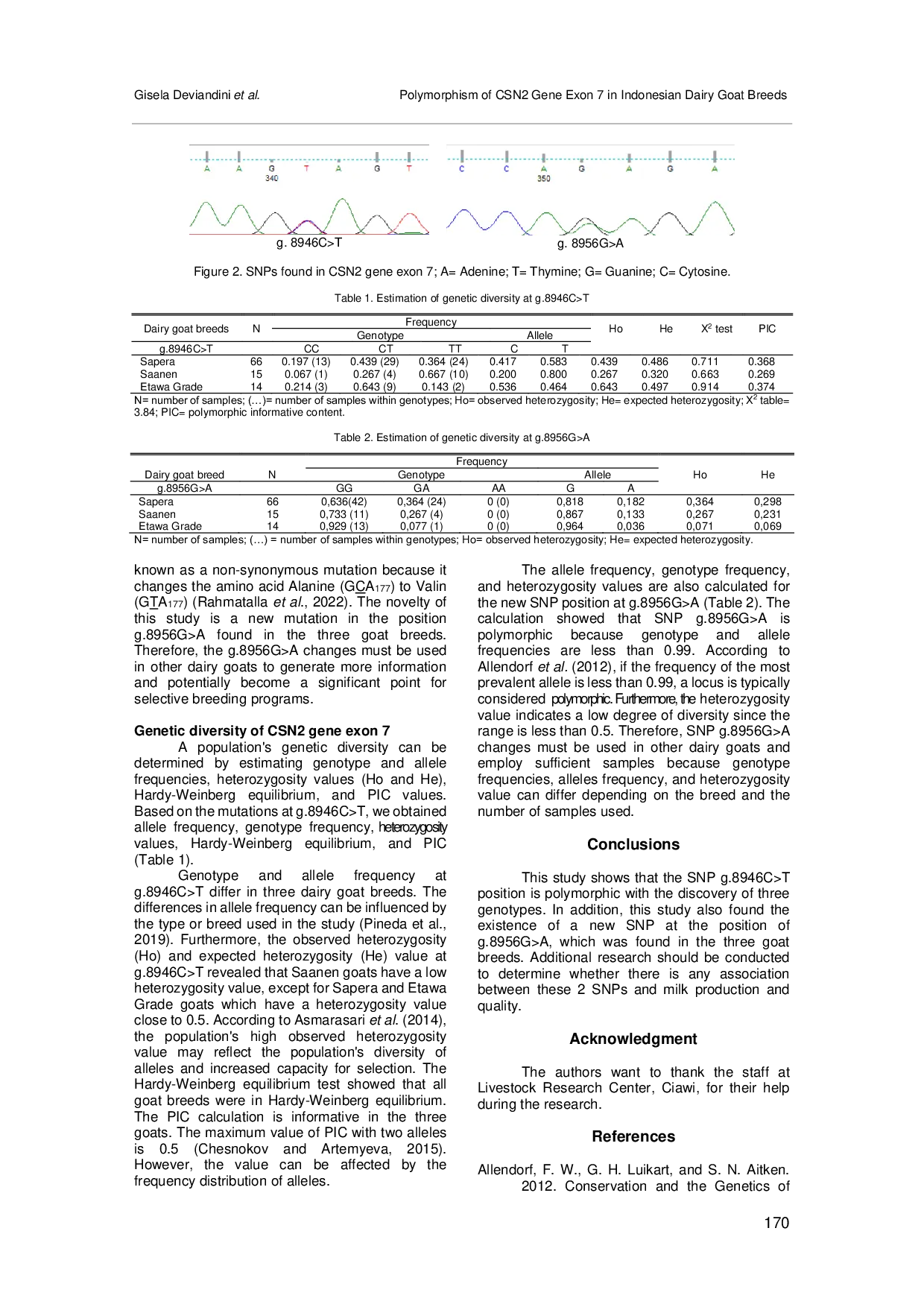 JURIS Polymorphism of CSN2 Gene Exon 7 in Indonesian Dairy Goat Breeds