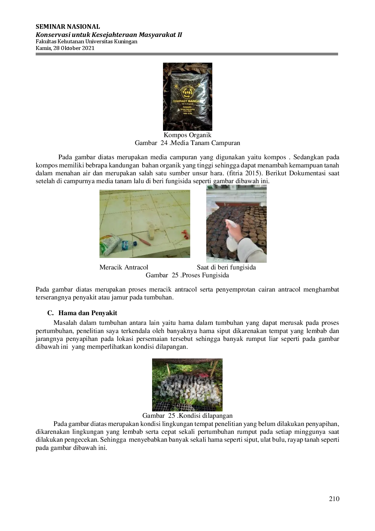 juris Pengaruh Pemberian Zat Pengatur Tumbuh terhadap Pertumbuhan Stek Batang Pohon Lokal yang Terdapat di Stasiun Riset Karangsari TNGC