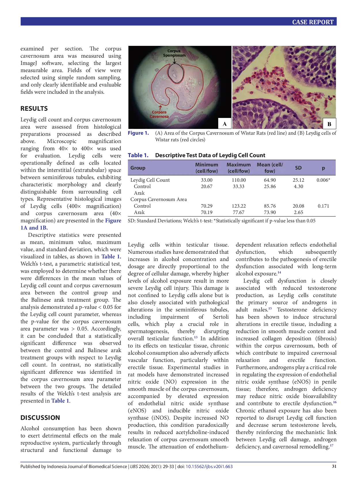 JURIS The effect of Balinese arak exposure on Leydig cell count and corpus cavernosum area in Wistar Rattus norvegicus rats
