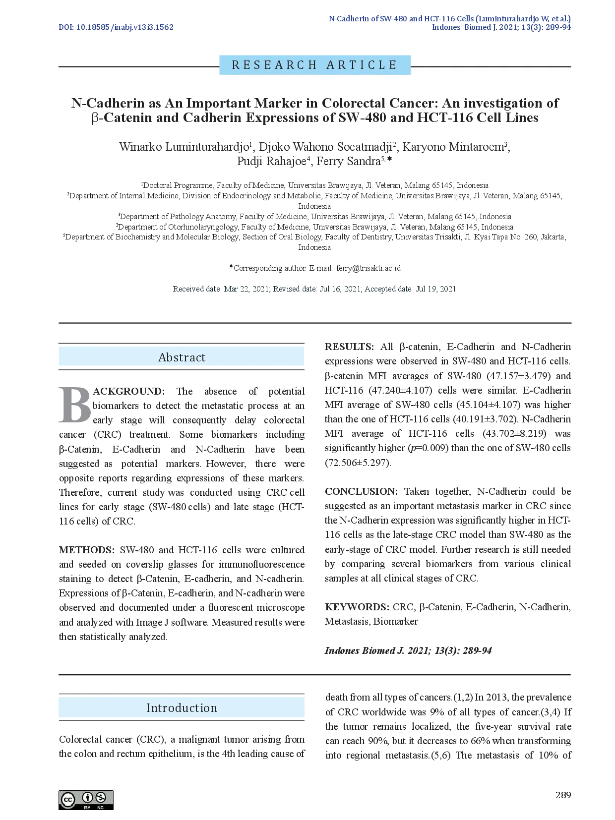 juris N Cadherin as An Important Marker in Colorectal Cancer An investigation of b Catenin and Cadherin Expressions of SW 480 and HCT 116 Cell Lines