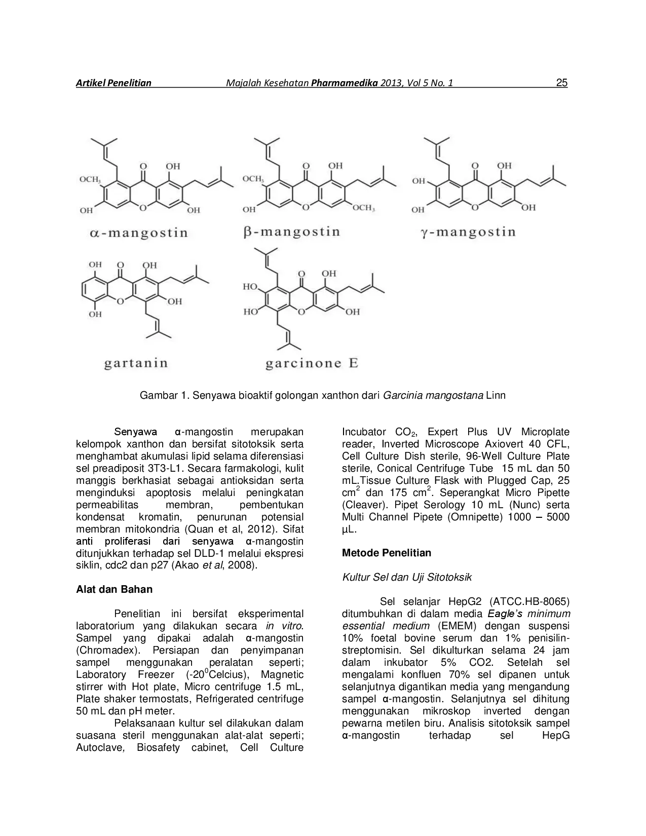juris Analisa Sitotoksisitas Mangostin Terhadap Sel Hapatoma HepG2 Cells