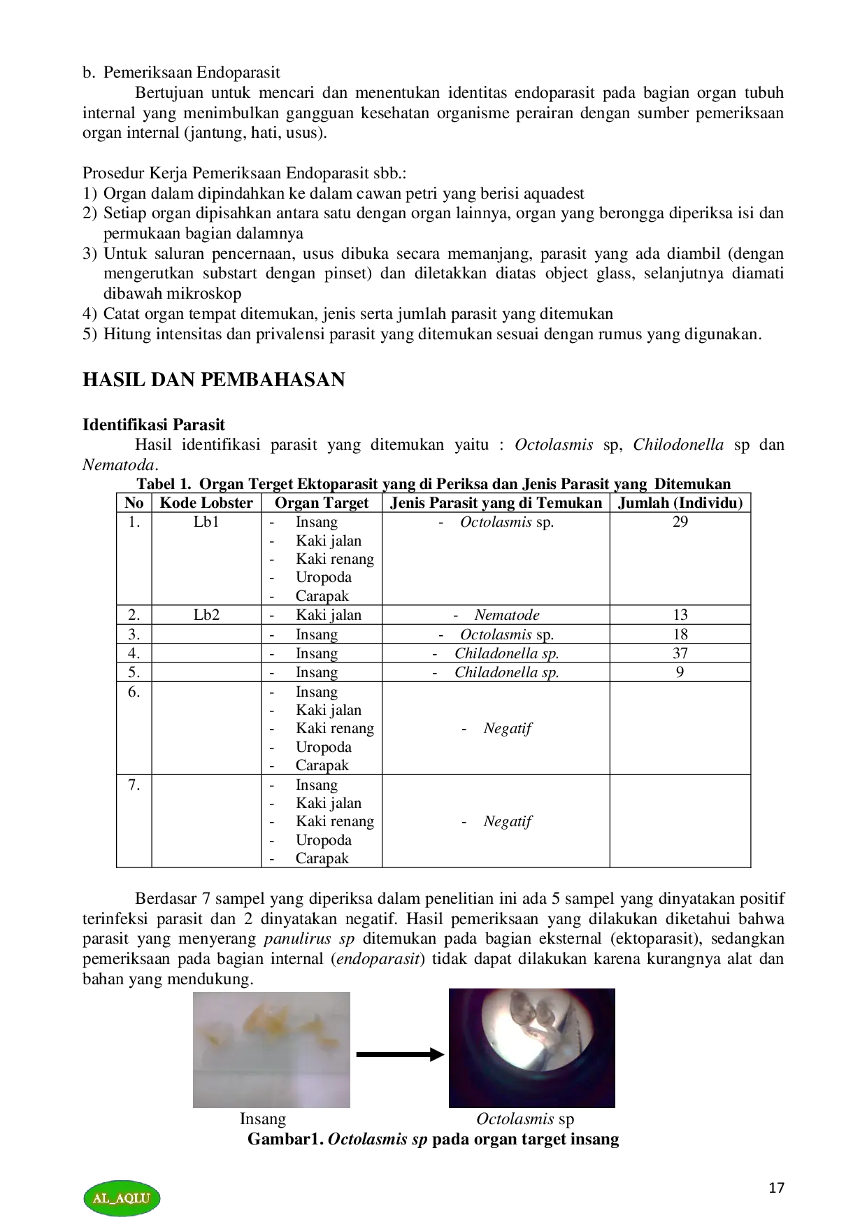 JURIS IDENTIFIKASI DAN INTENSITAS PARASIT PADA LOBSTER AIR LAUT PANULIRUS SP