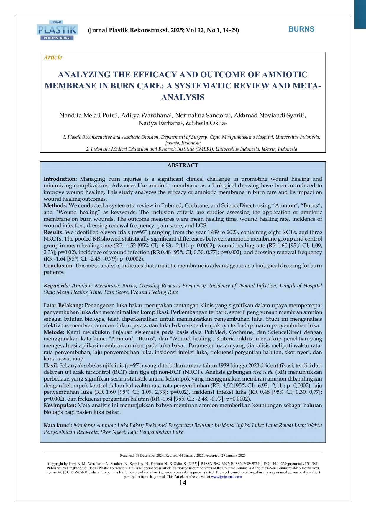 JURIS Analyzing The Efficacy and Outcome of Amniotic Membrane in Burn Care A Systematic Review and Meta Analysis