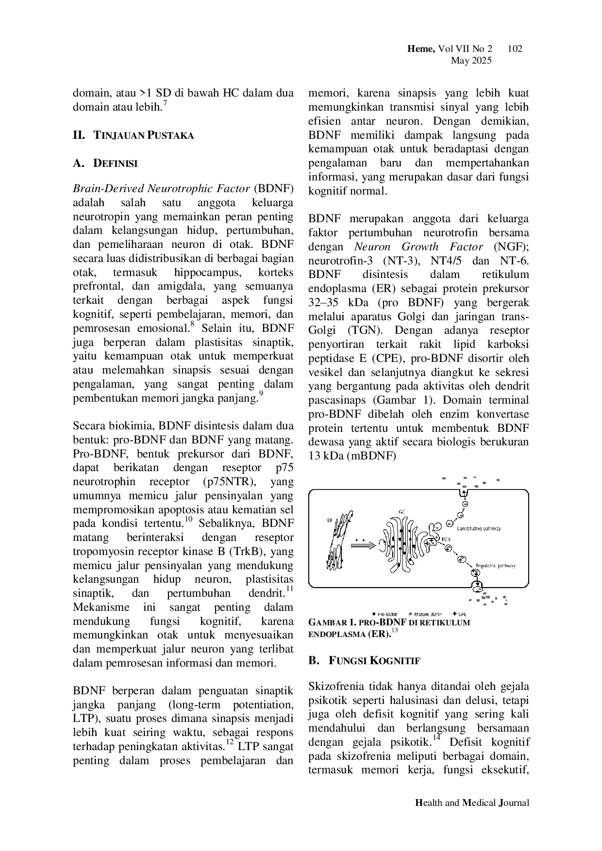 JURIS Peran Brain Derived Neurotrophic Factor pada Fungsi Kognitif Orang dengan Skizofrenia