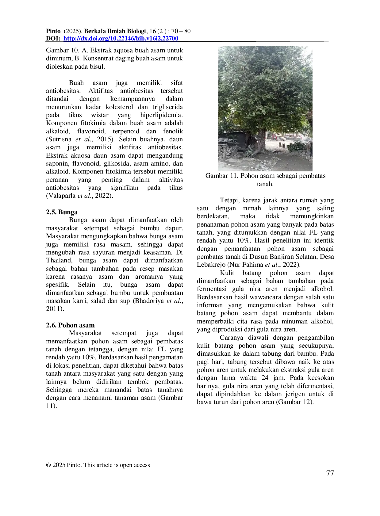 JURIS Ethnobotanical Study of Acid Plant Tamarindus indica L In Manatuto Vila Timor Leste