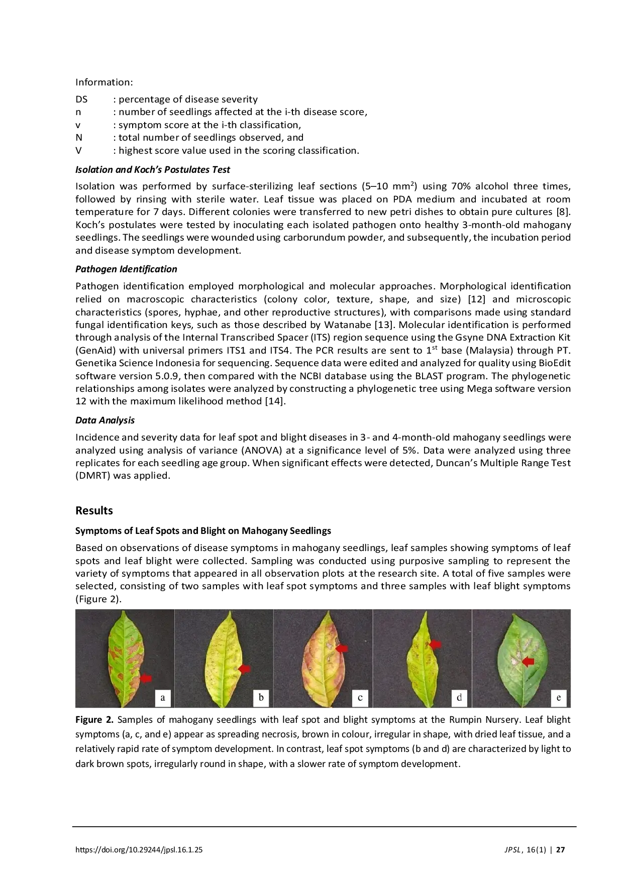 JURIS Evaluation of Leaf Spot and Blight Diseases in Mahogany Swietenia mahagoni Seedlings in Rumpin Nursery Bogor Regency Indonesia