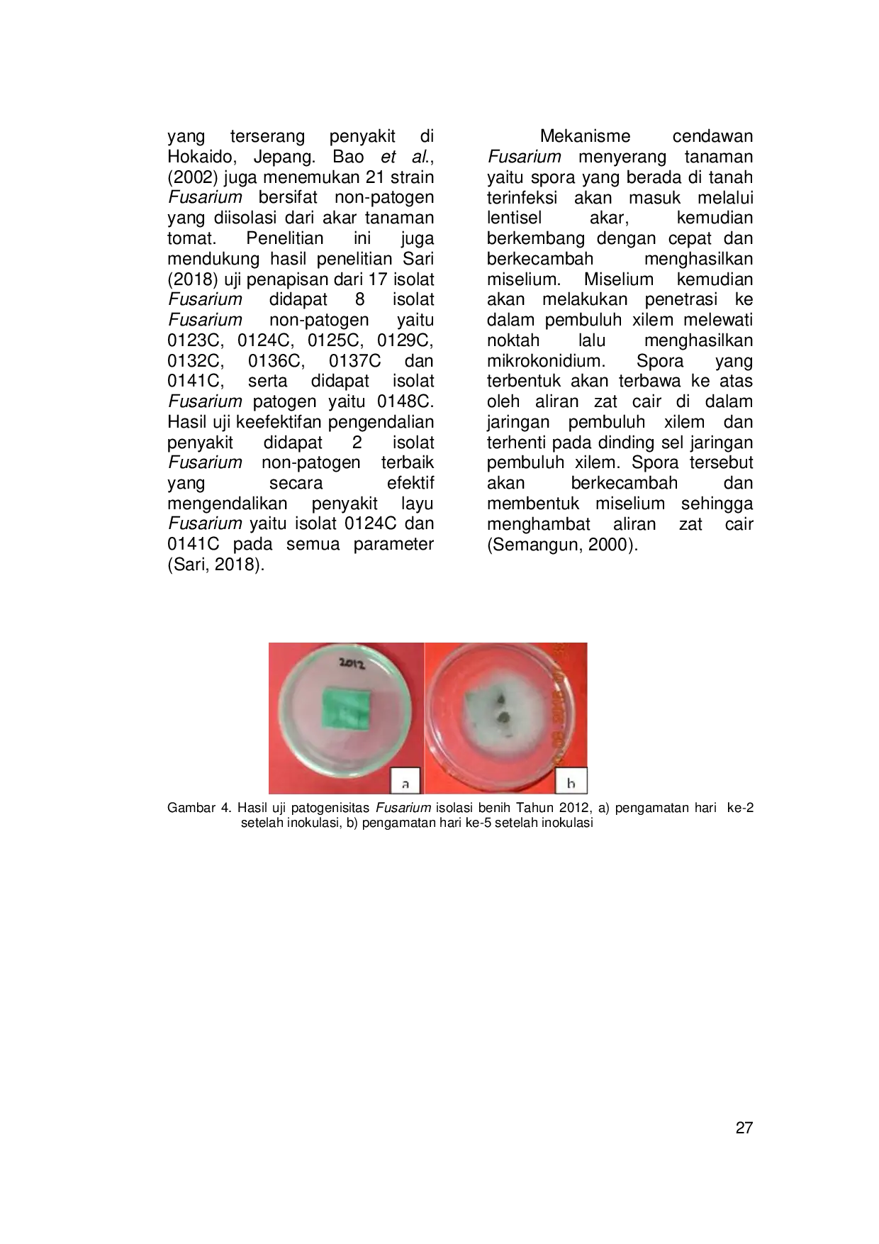 JURIS Isolation And Identification Of Carried Seed Fungus Acacia crassicarpa A Cunn Ex Benth