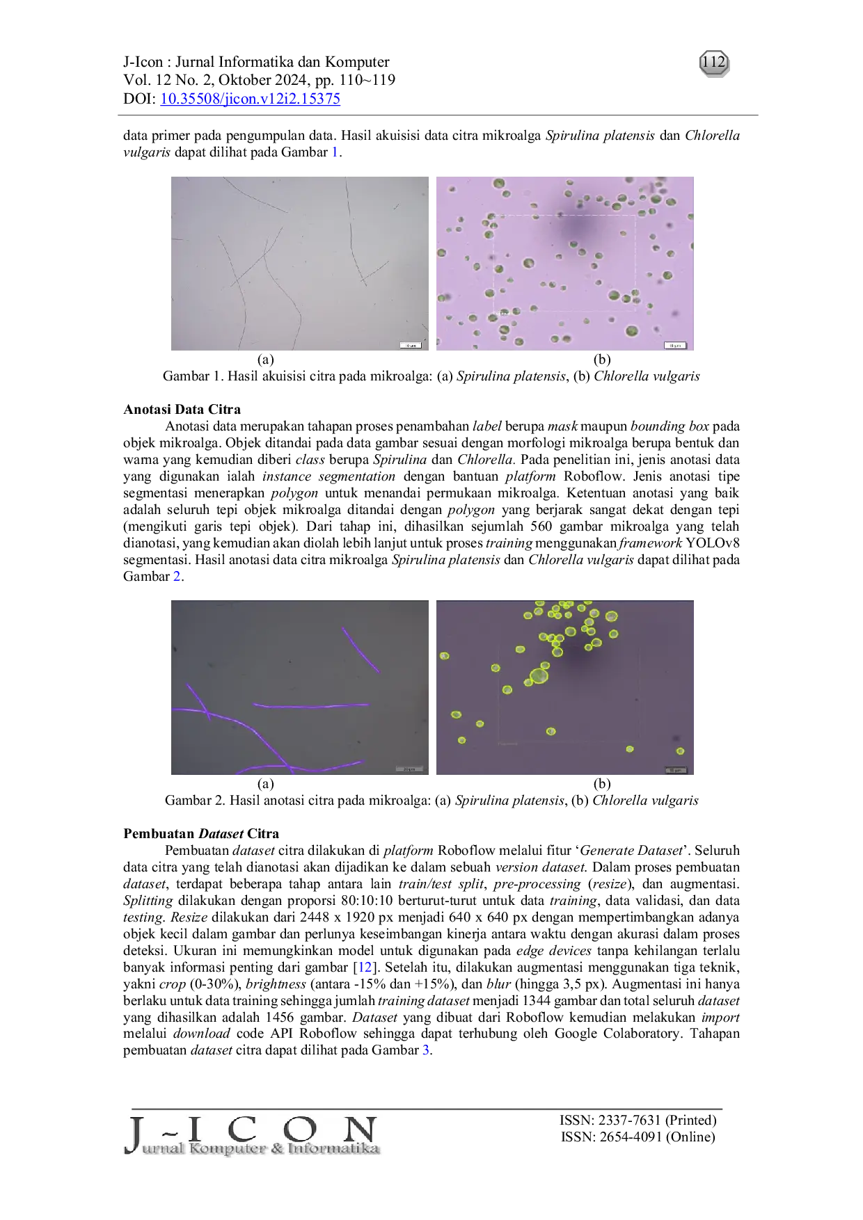 JURIS Detection Model of Microalgae Spirulina platensis and Chlorella vulgaris Based on Convolutional Neural Network YOLOv8
