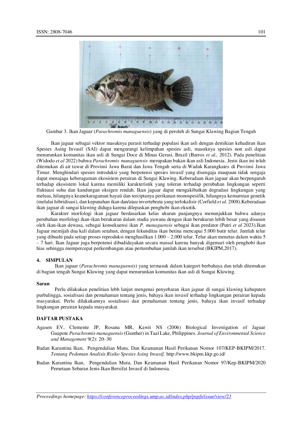 JURIS Keberadaan Ikan Jaguar Parachromis managuensis G nther 1867 di Bagian Tengah Sungai Klawing Kabupaten Purbalingga Jawa Tengah