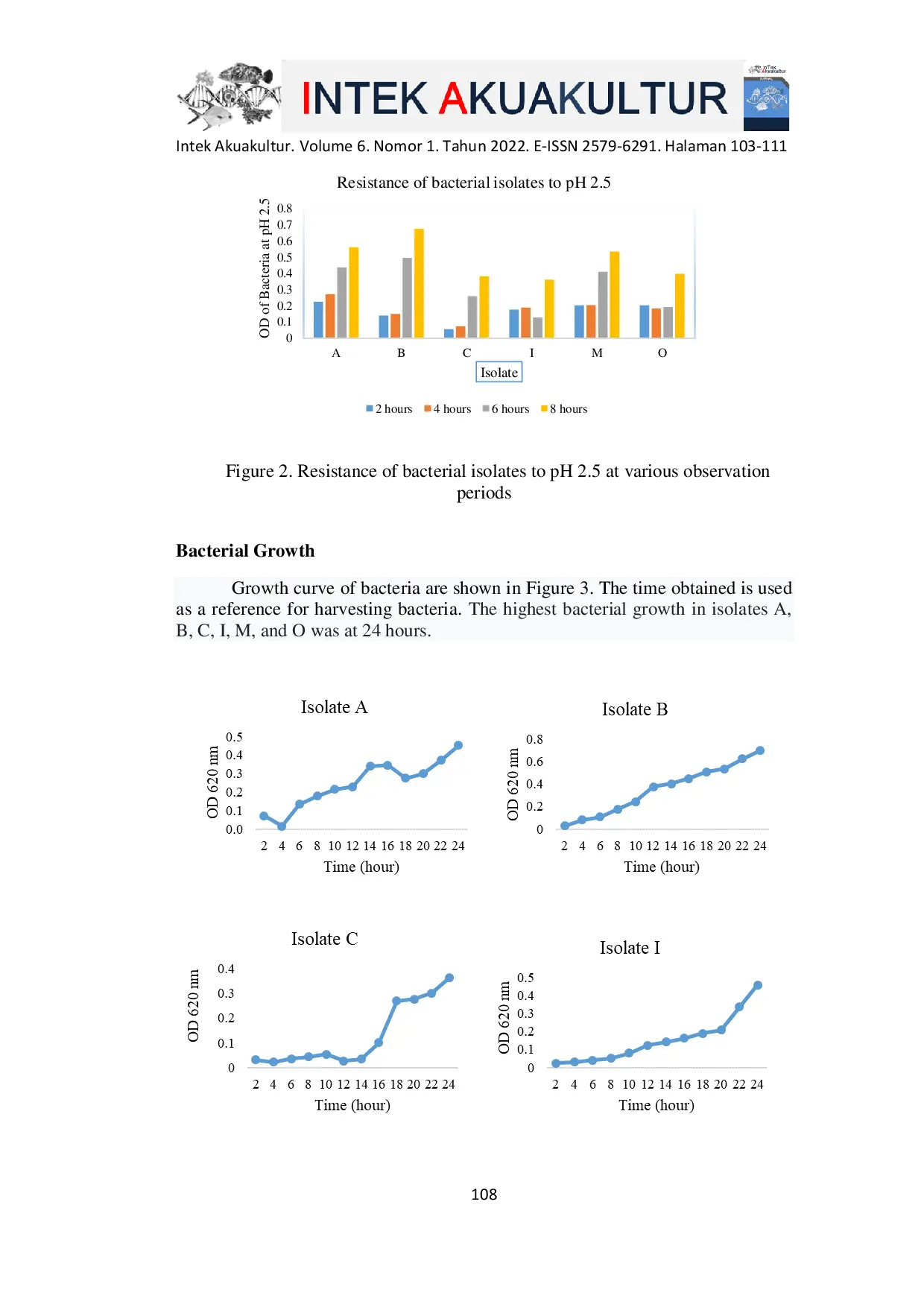 JURIS Bakteri Bacillus sp Berpotensi Probiotik dalam Saluran Pencernaan Ikan Bawal Bintang Trachinotus blochii