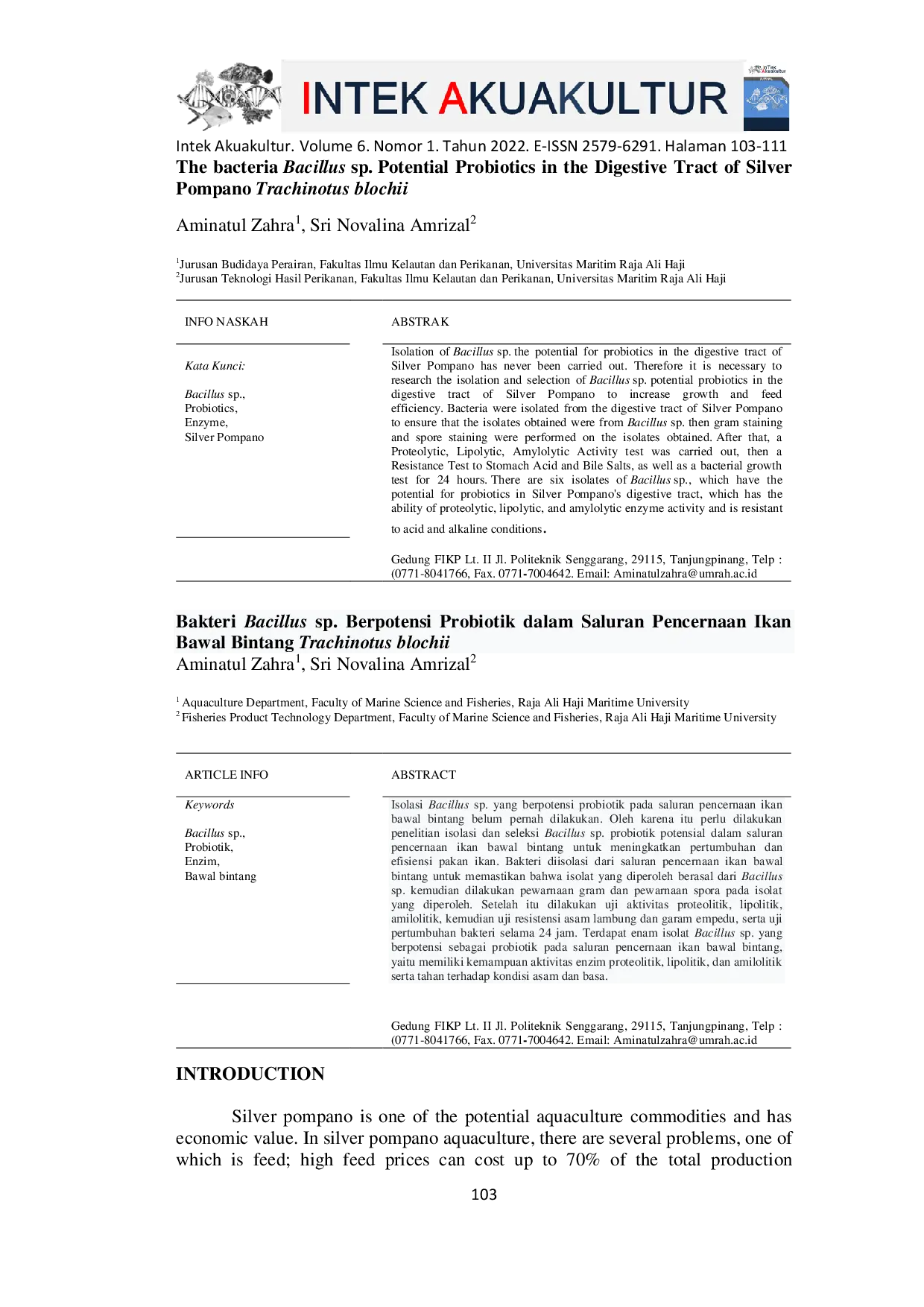 JURIS Bakteri Bacillus sp Berpotensi Probiotik dalam Saluran Pencernaan Ikan Bawal Bintang Trachinotus blochii