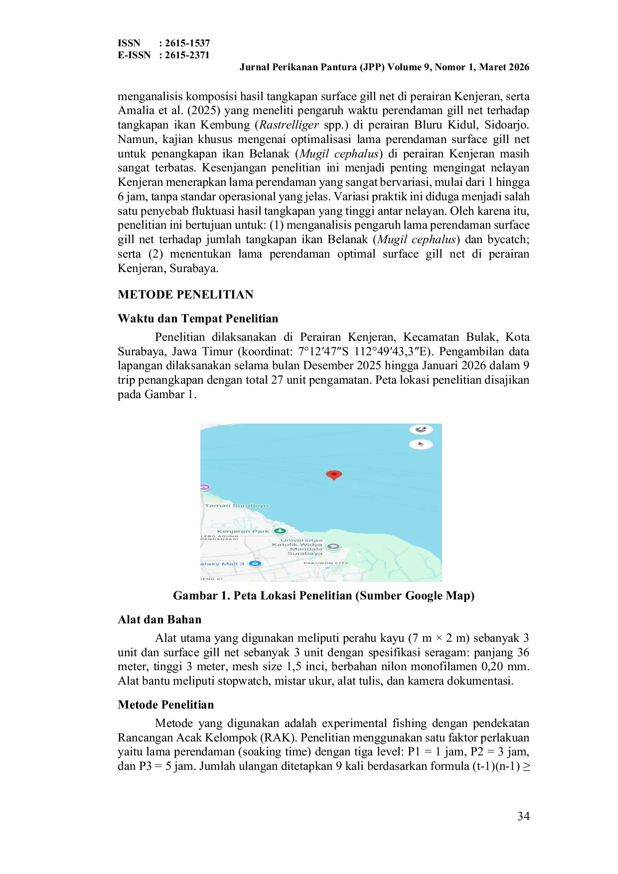 JURIS PENGARUH LAMA PERENDAMAN SURFACE GILL NET TERHADAP HASIL TANGKAPAN IKAN BELANAK Mugil cephalus DI PERAIRAN KENJERAN