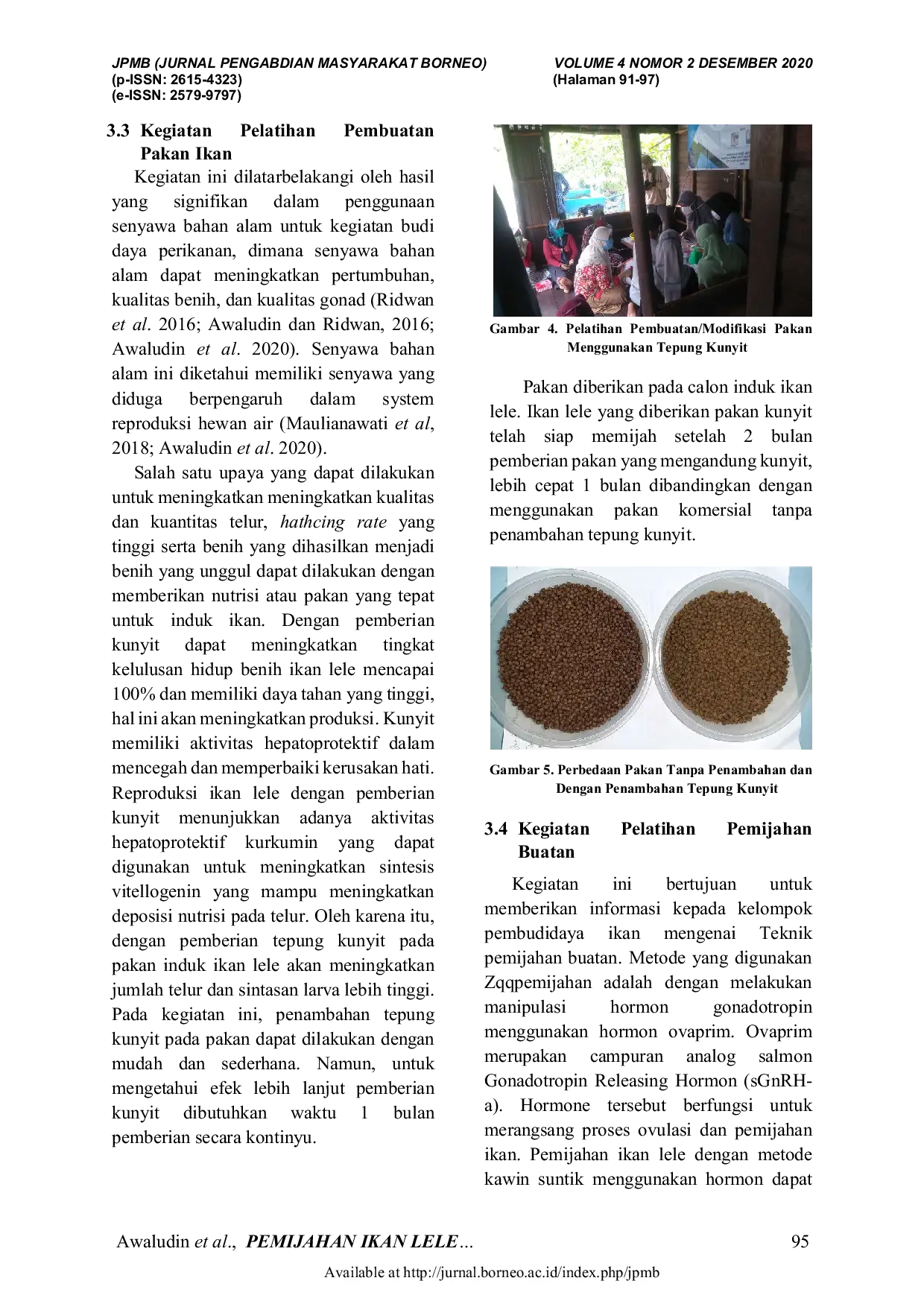 JURIS Pemijahan Ikan Lele Dengan Menggunakan Pakan Yang Diberi Tepung Kunyit Dan Penyuntikan Ovaprim Di Pokdakan Purnama Rimba Kalimantan Utara