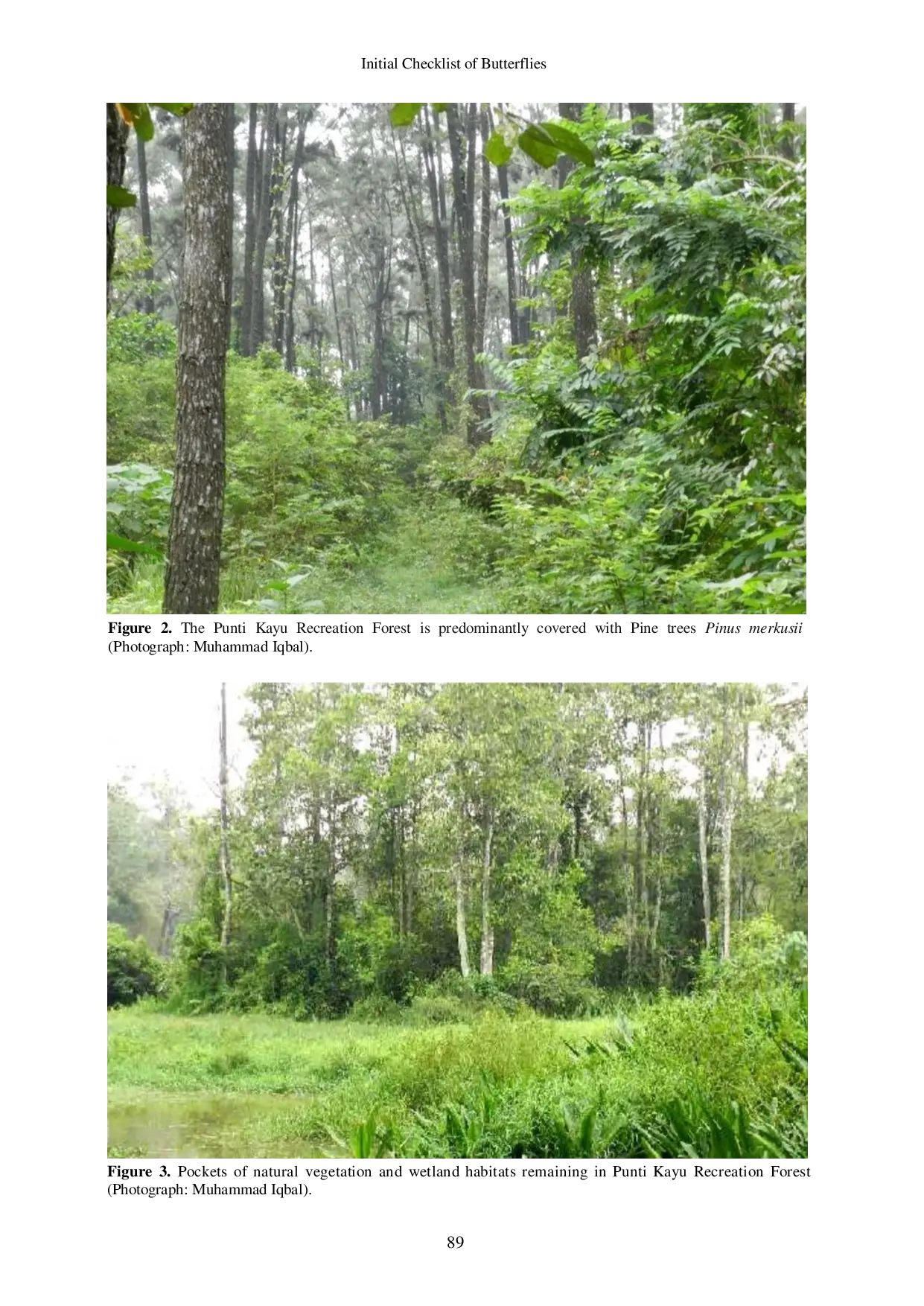 JURIS Initial Checklist of Butterflies Lepidoptera Rhopalocera in Punti Kayu Recreation Forest Palembang South Sumatra