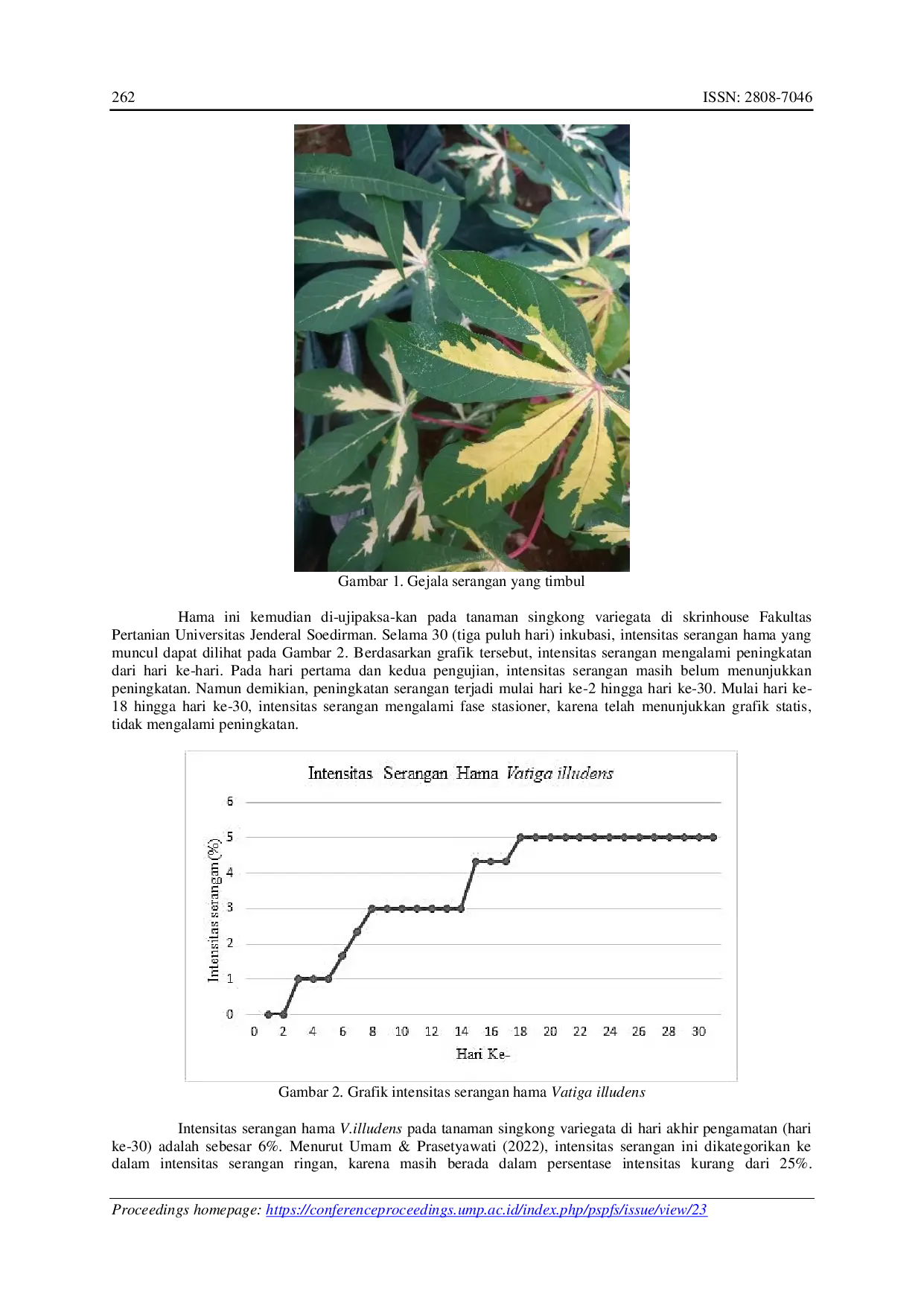 JURIS Uji Paksa Serangan Vatiga illudens Drake 1992 Hemiptera Tingidae pada Tanaman Singkong Varigata Manihot esculenta var Variegata di Screenhouse Fakultas Pertanian UNSOED
