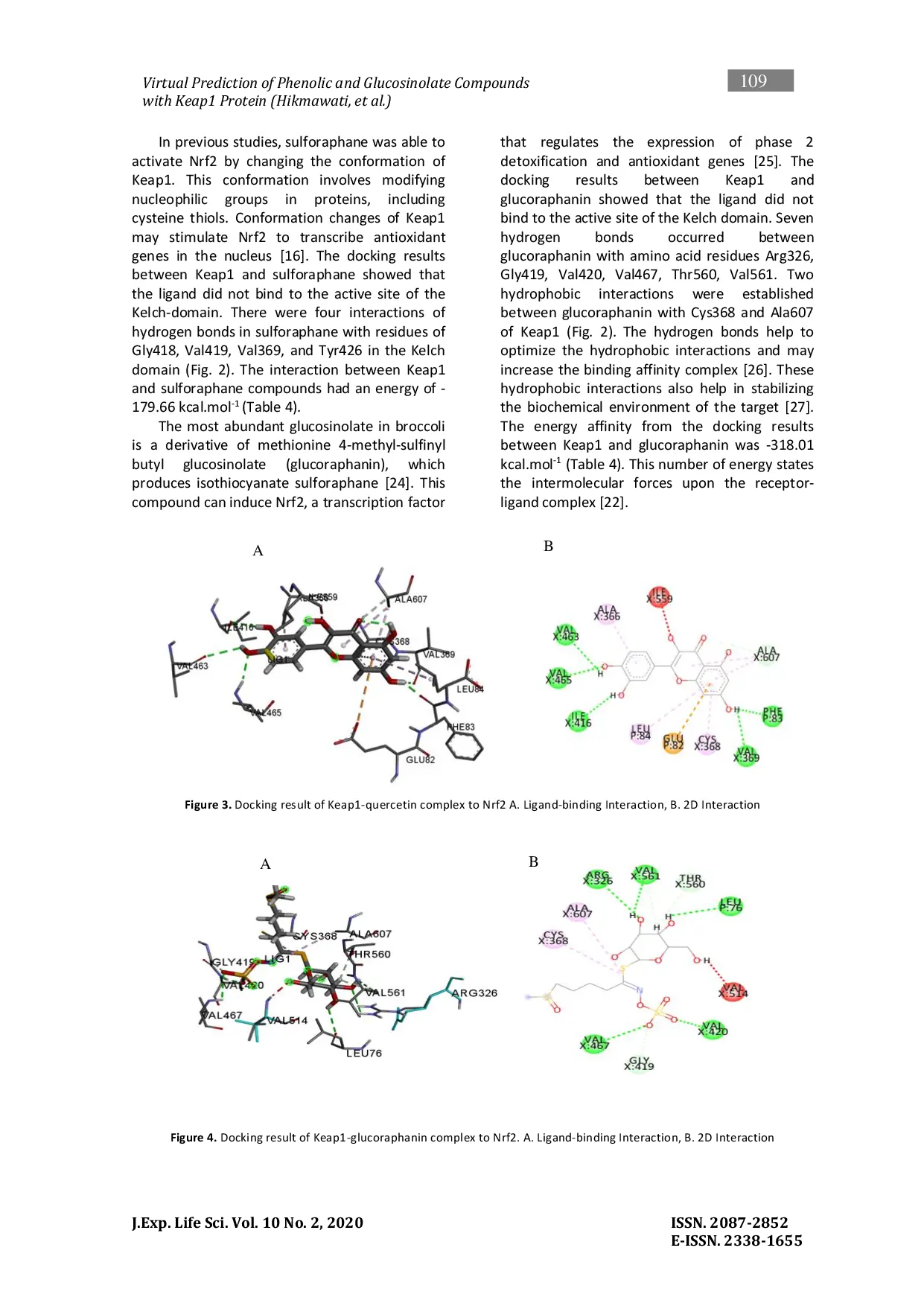 JURIS Virtual Prediction of The Effect Phenolic And Glucosinolate Compounds In Broccoli Brassica Oleracea On Anti aging As Stimulant Nrf 2