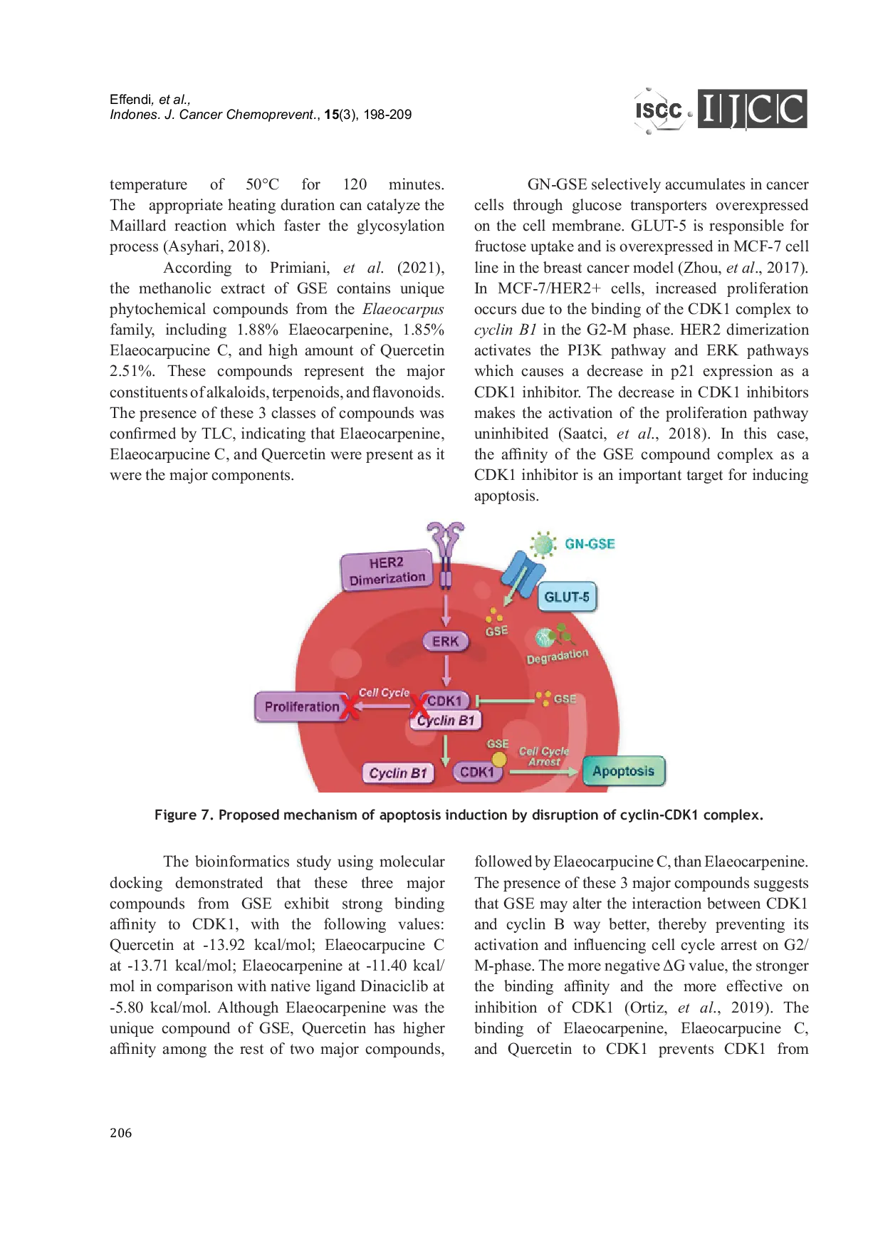 JURIS Co Chemotherapy Effect of Glycosylated Nanoalbumin Genitri Seed Extract Targeting Induced Apoptotic on Overexpressed HER2 Breast Cancer