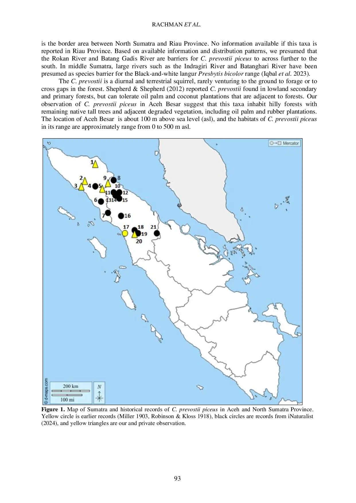JURIS Subspecies Range of Little Known North Sumatran Prevost s Squirrel Callosciurus prevostii piceus Rodentia Sciuridae