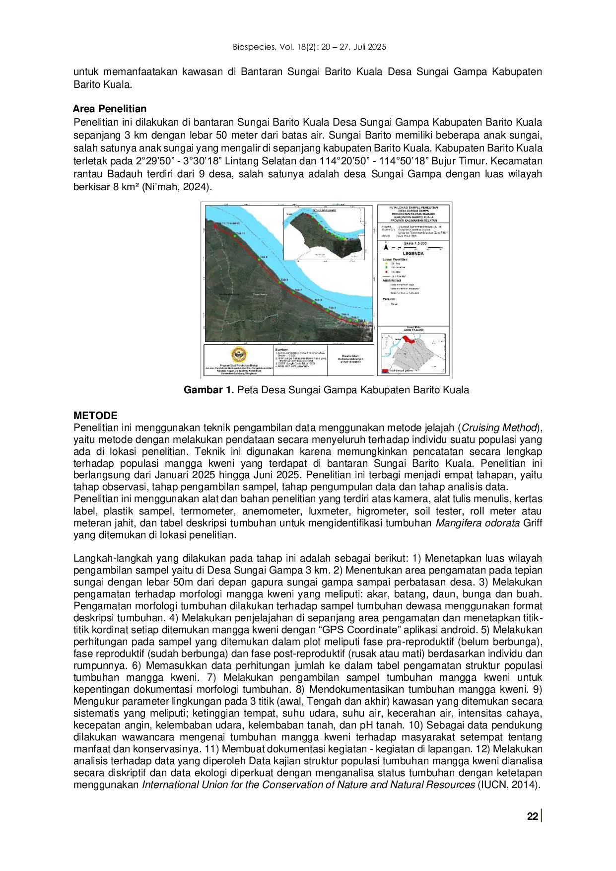 JURIS Structure of Kweni Mango Population Mangifera odorata Griff On The Bank Of The Barito River Sungai Gampa Village Barito Kuala Regency