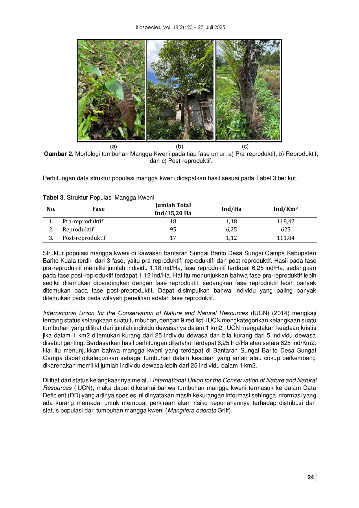 JURIS Structure of Kweni Mango Population Mangifera odorata Griff On The Bank Of The Barito River Sungai Gampa Village Barito Kuala Regency