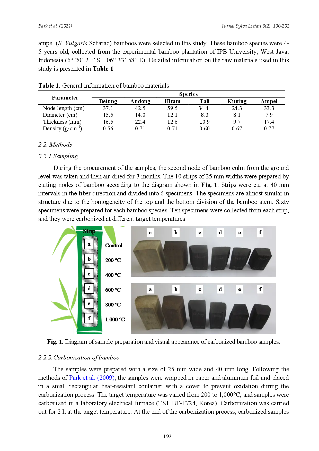 juris Effects on Morphology and Chemical Properties of Indonesian Bamboos by Carbonization