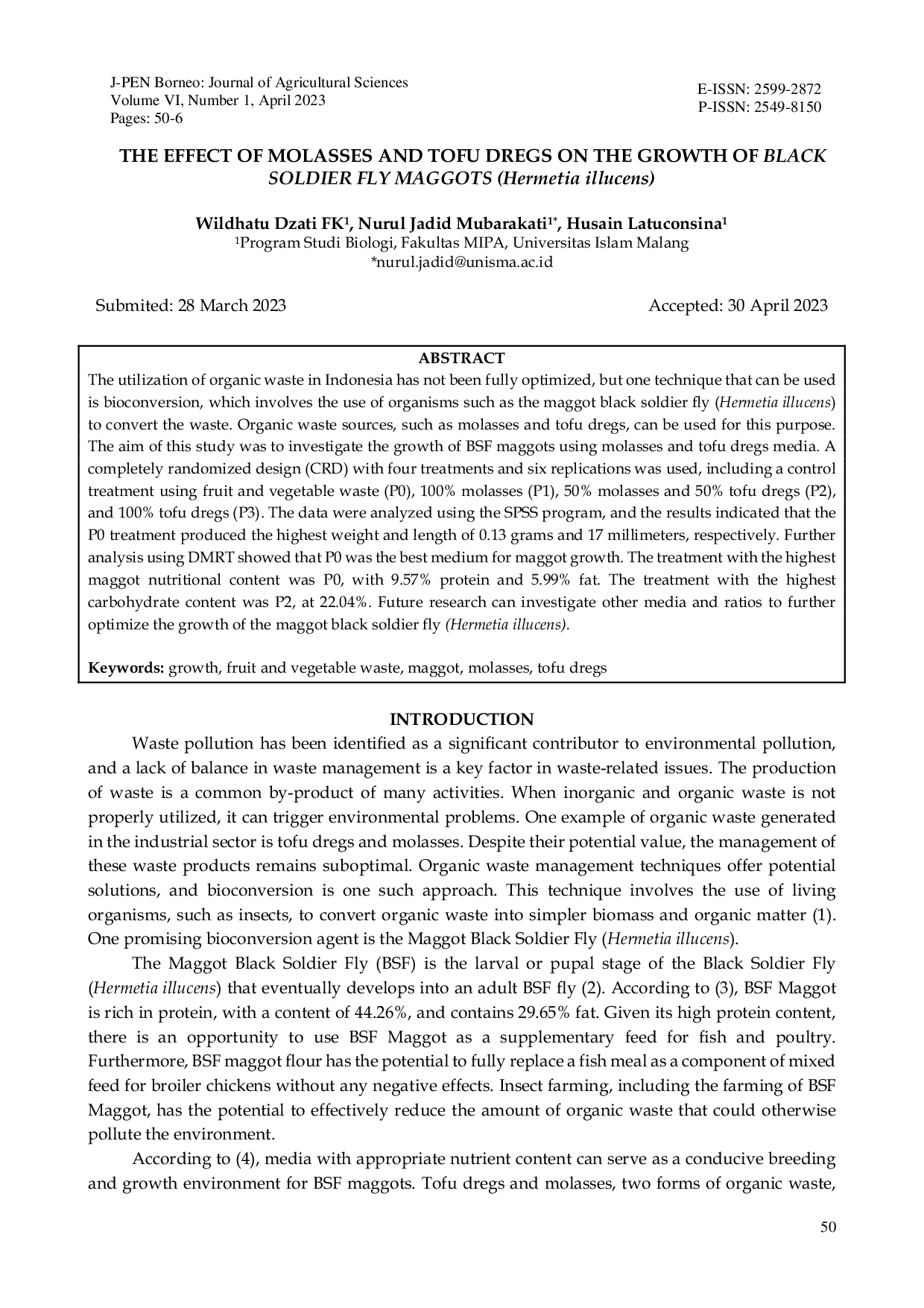 JURIS THE EFFECT OF MOLASSES AND TOFU DREGS ON THE GROWTH OF BLACK SOLDIER FLY MAGGOTS Hermetia illucens