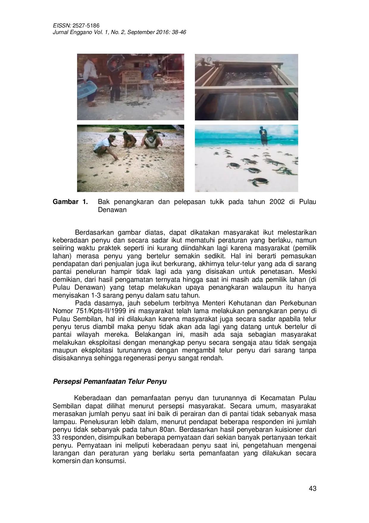 JURIS Dinamika Sosial Ekonomi Masyarakat Terhadap Pemanfaatan Telur Penyu Di Kecamatan Pulau Sembilan Kabupaten Kotabaru