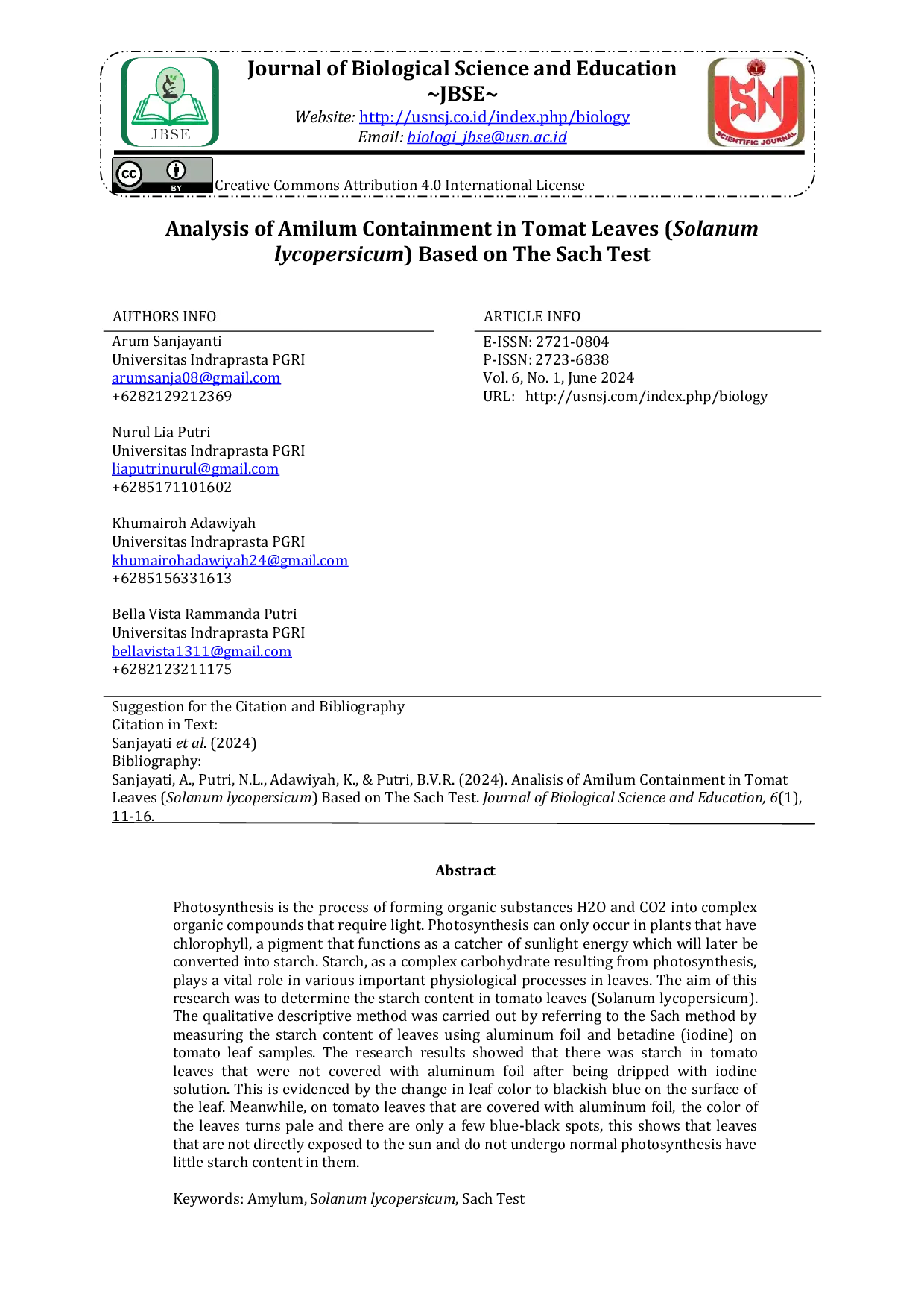 JURIS Analysis of Amilum Containment in Tomat Leaves Solanum lycopersicum Based on The Sach Test