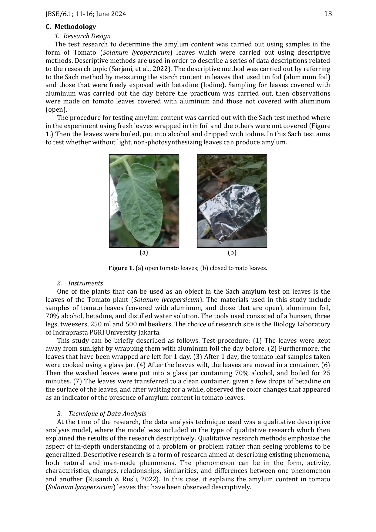 JURIS Analysis of Amilum Containment in Tomat Leaves Solanum lycopersicum Based on The Sach Test