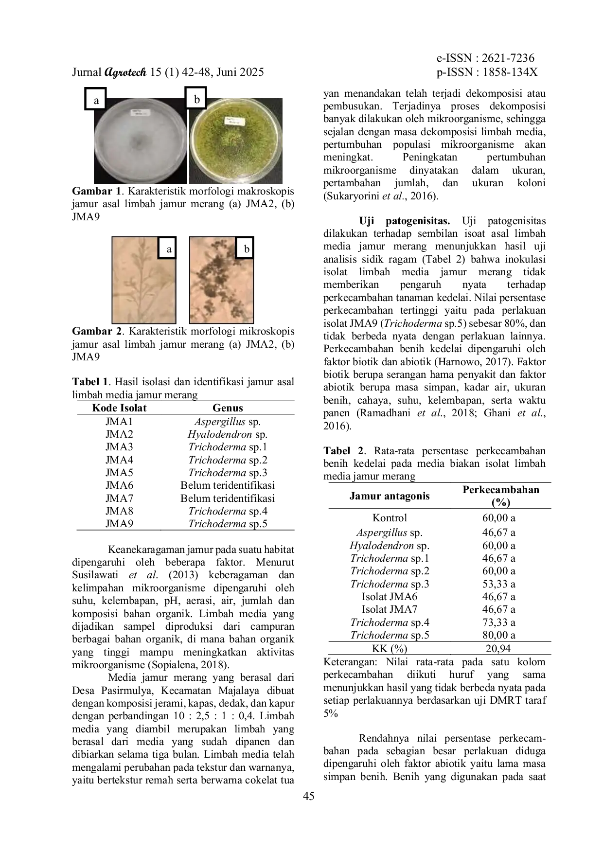 JURIS Eksplorasi Dan Pengaruh Jamur Antagonis Asal Limbah Media Jamur Merang Terhadap Pertumbuhan Tanaman Kedelai Glycine Max L Merill