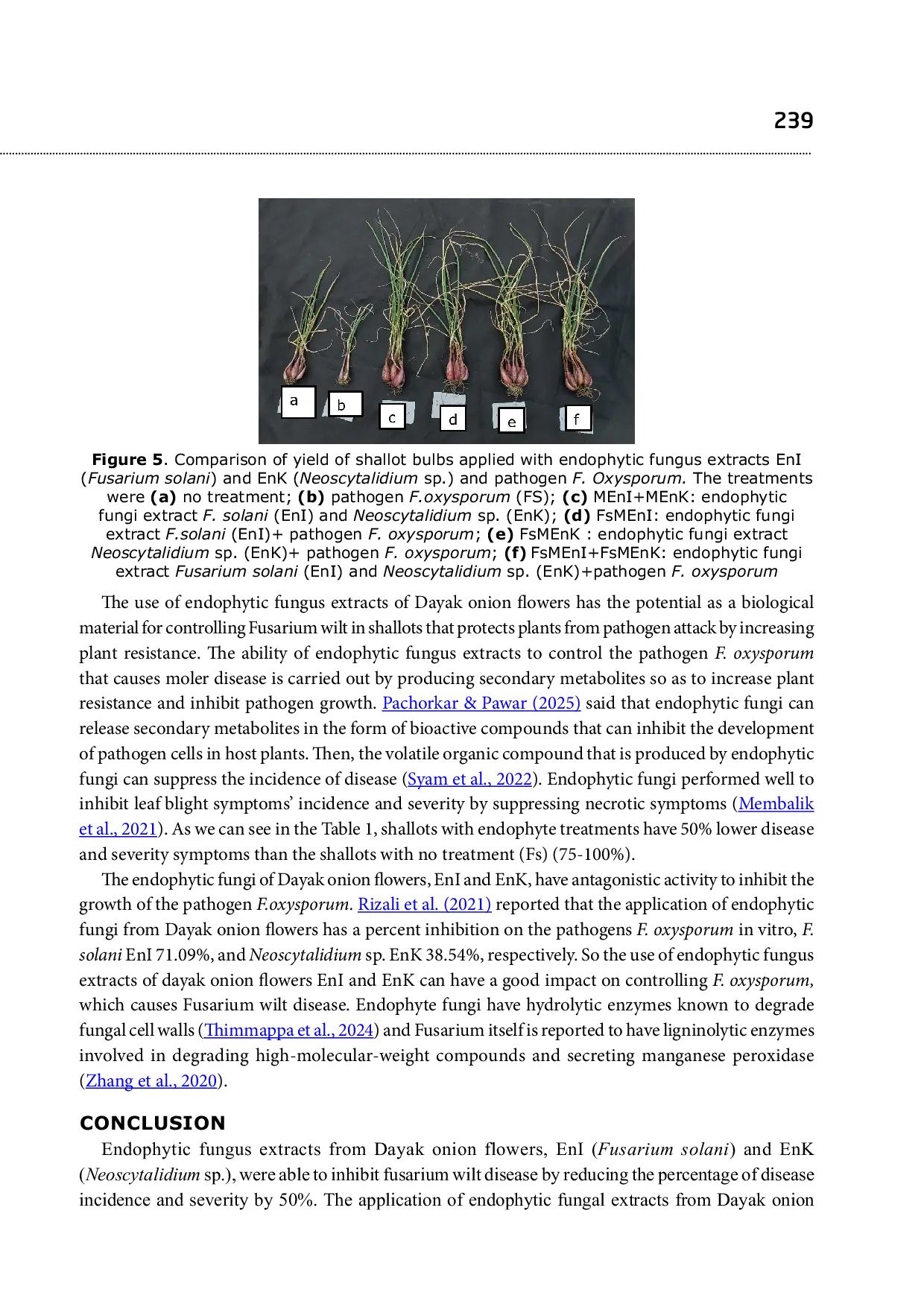 JURIS Endophytes Isolated from Dayak Onion Flower Enhance Shallot Growth and Suppress Fusarium Wilt Disease