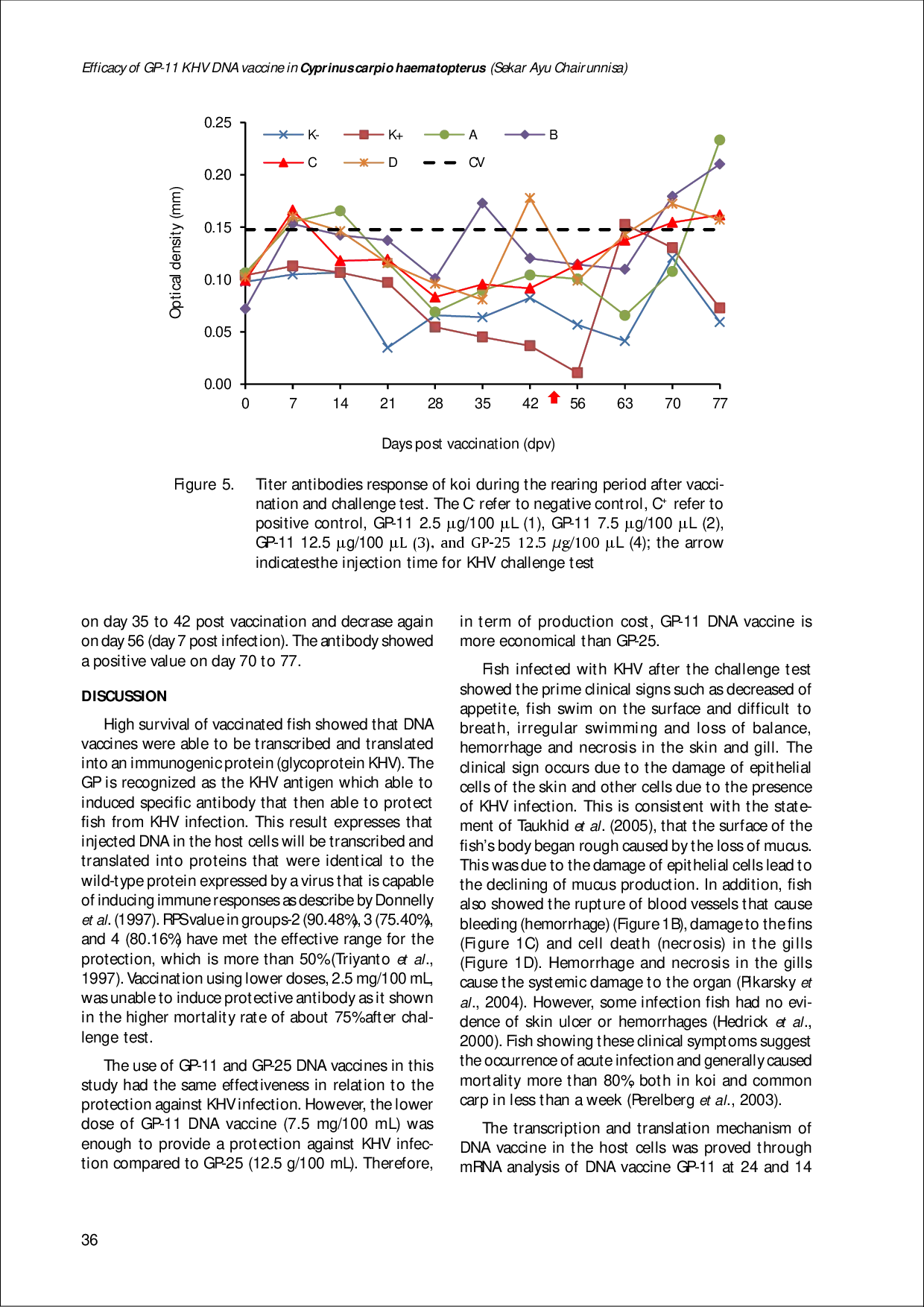 juris EFFICACY OF GP 11 KHV DNA VACCINE IN Cyprinus carpio koi