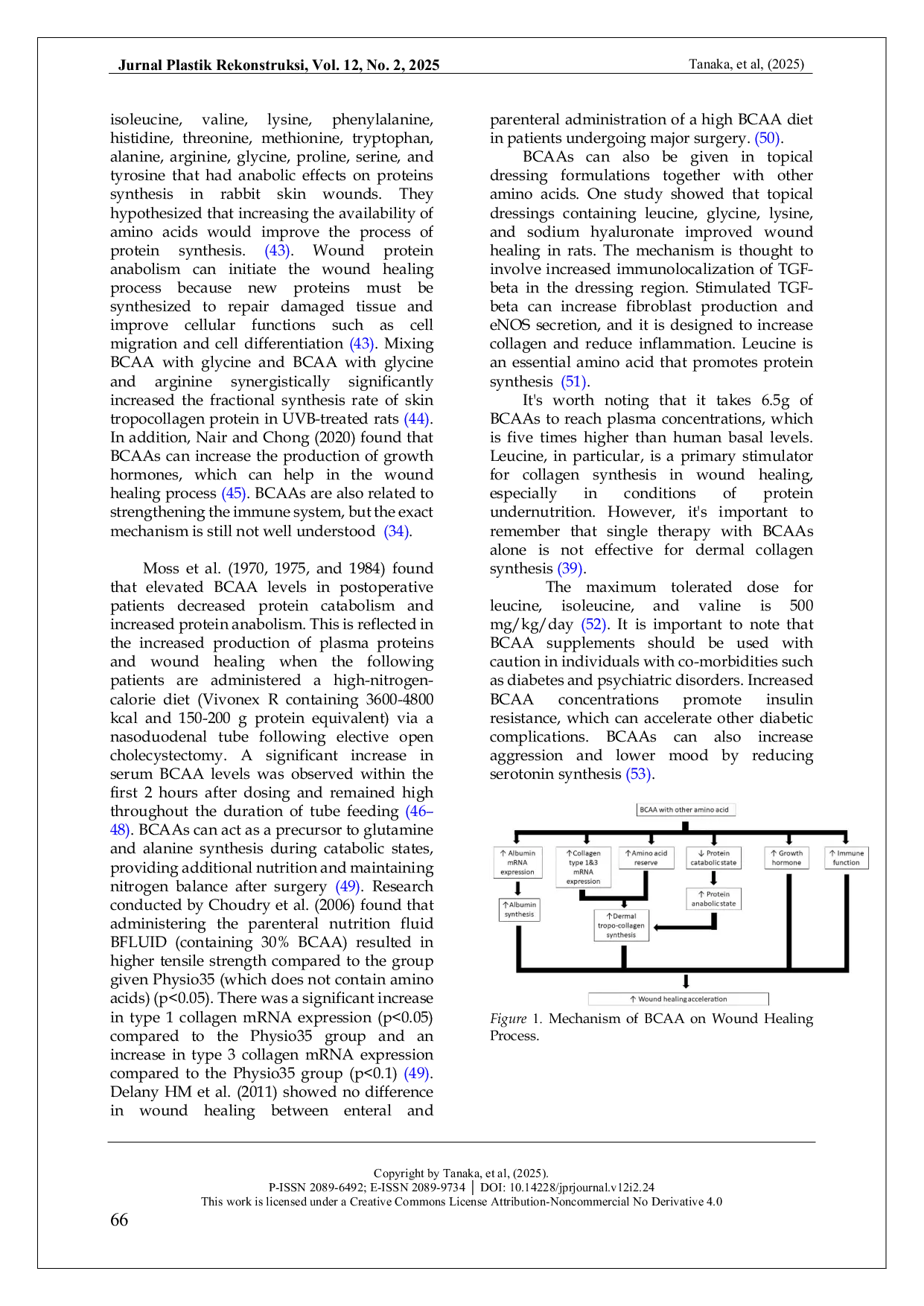 JURIS Mythbusting The Effect of BCAA on Wound Healing