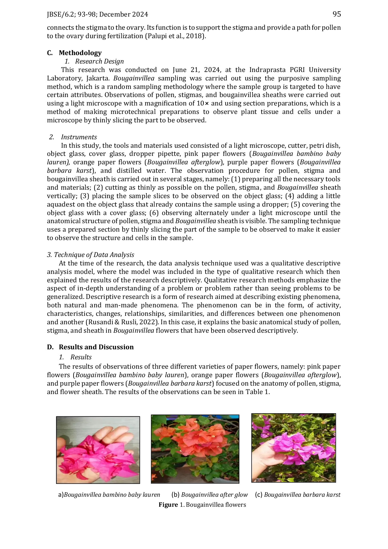 JURIS Basic Anatomical Study of Pollen Stigma and Sheath in Bougainvillea Flowers