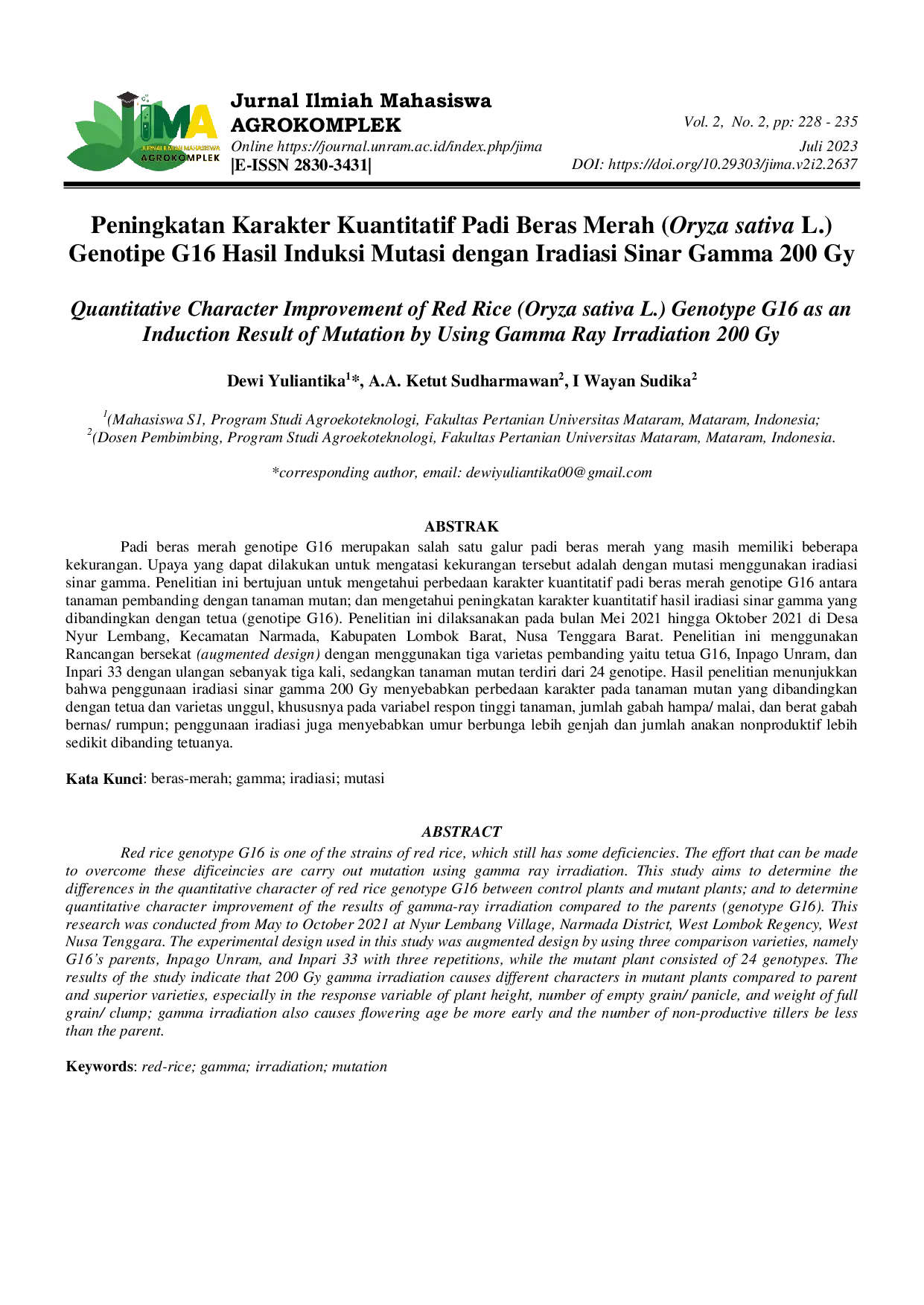 JURIS Peningkatan Karakter Kuantitatif Padi Beras Merah Oryza sativa L Genotipe G16 Hasil Induksi Mutasi dengan Iradiasi Sinar Gamma 200 Gy
