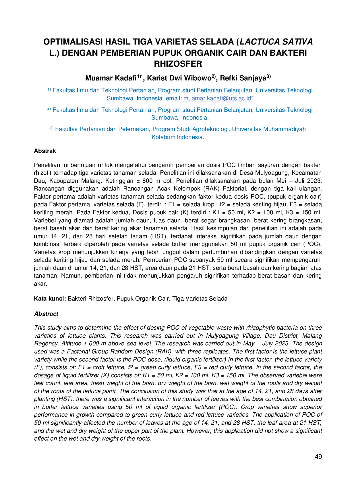 JURIS Optimalisasi Hasil Tiga Varietas Selada Lactuca Sativa L Dengan Pemberian Pupuk Organik Cair Dan Bakteri Rhizosfer