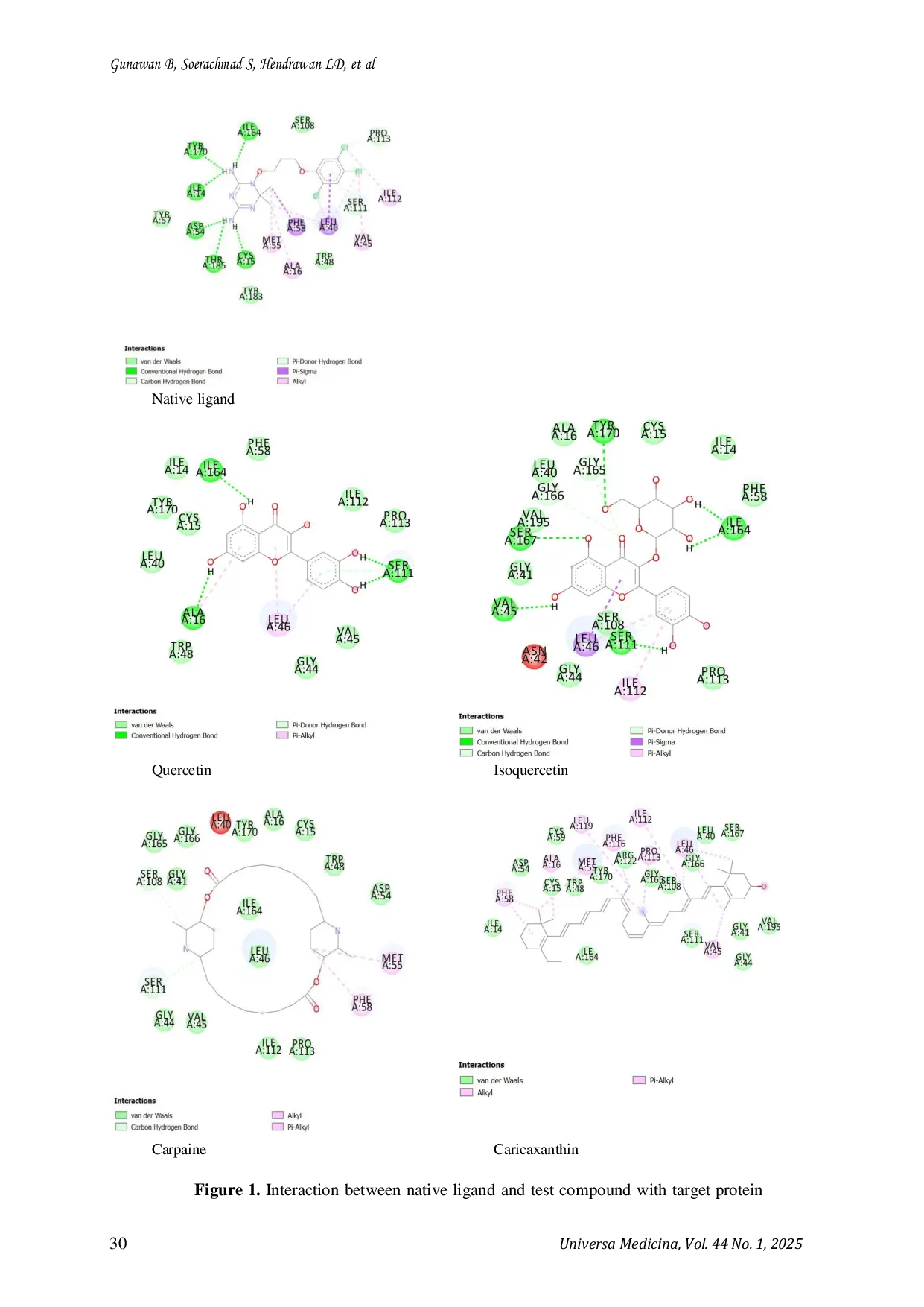JURIS Antimalarial Flavonoid Glycoside From Carica Papaya With Inhibitory Potential Against Plasmodium Falciparum Dihydrofolate Reductase Thymidylate Synthase An In Silico Study