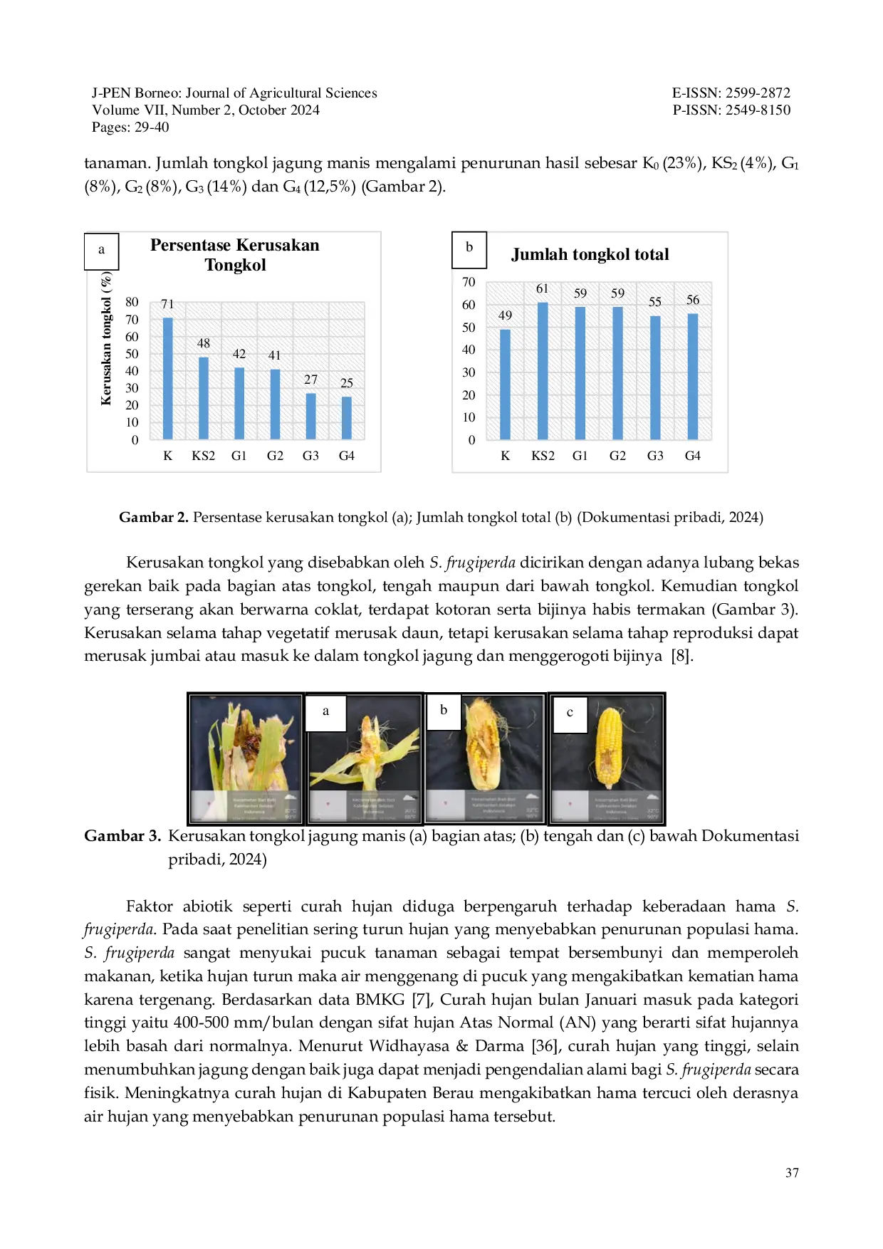 JURIS POTENSI GALAM Melaleuca cajuputi SEBAGAI PESTISIDA NABATI DALAM MENEKAN SERANGAN Spodoptera frugiperda PADA TANAMAN JAGUNG MANIS Zea mays saccharata Sturt