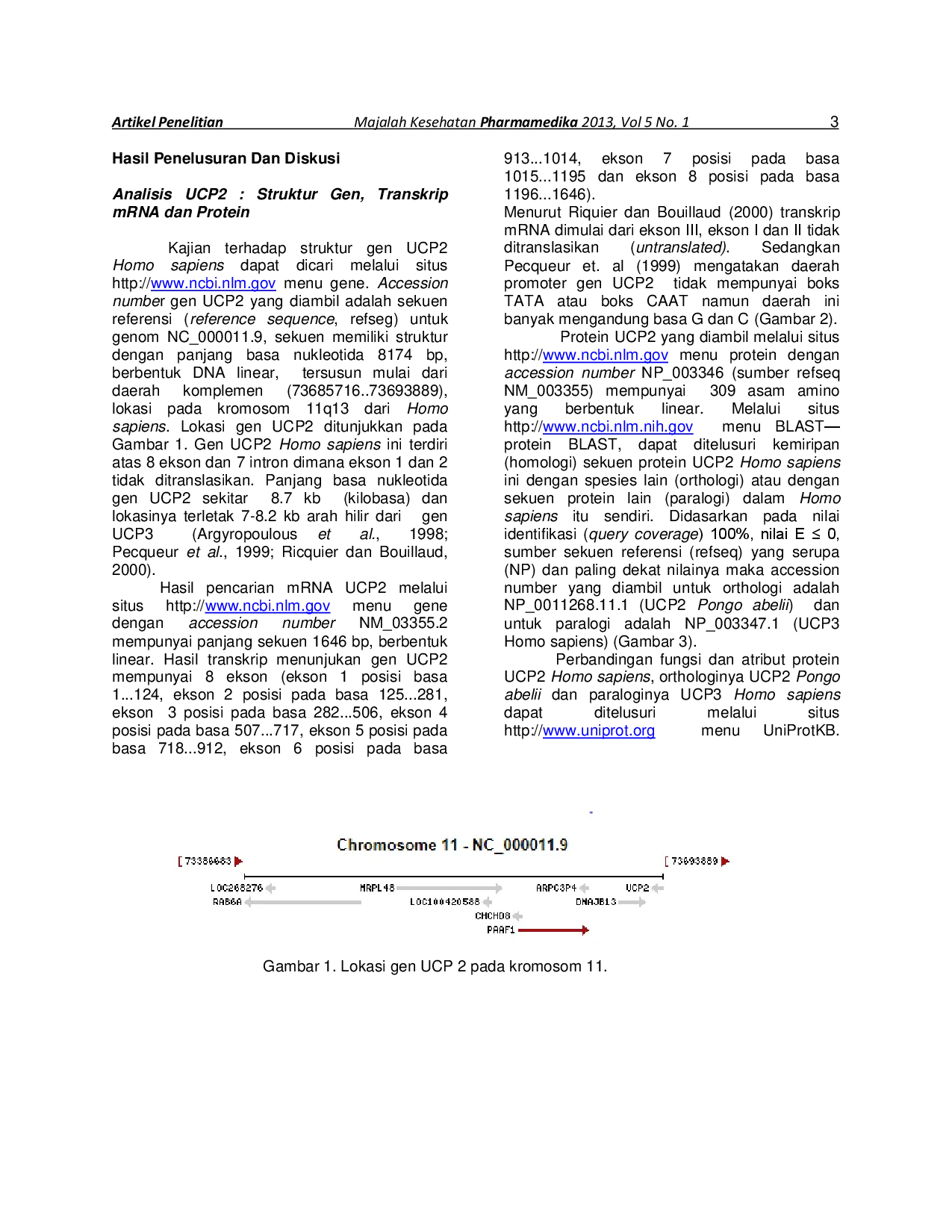 juris Kajian Bioinformatika Uncoupling Protein 2 UCP2 dan Mutasi Ala55Val UCP2 Pada Obesitas dan Diabetes Melitus Tipe 2 DMT2