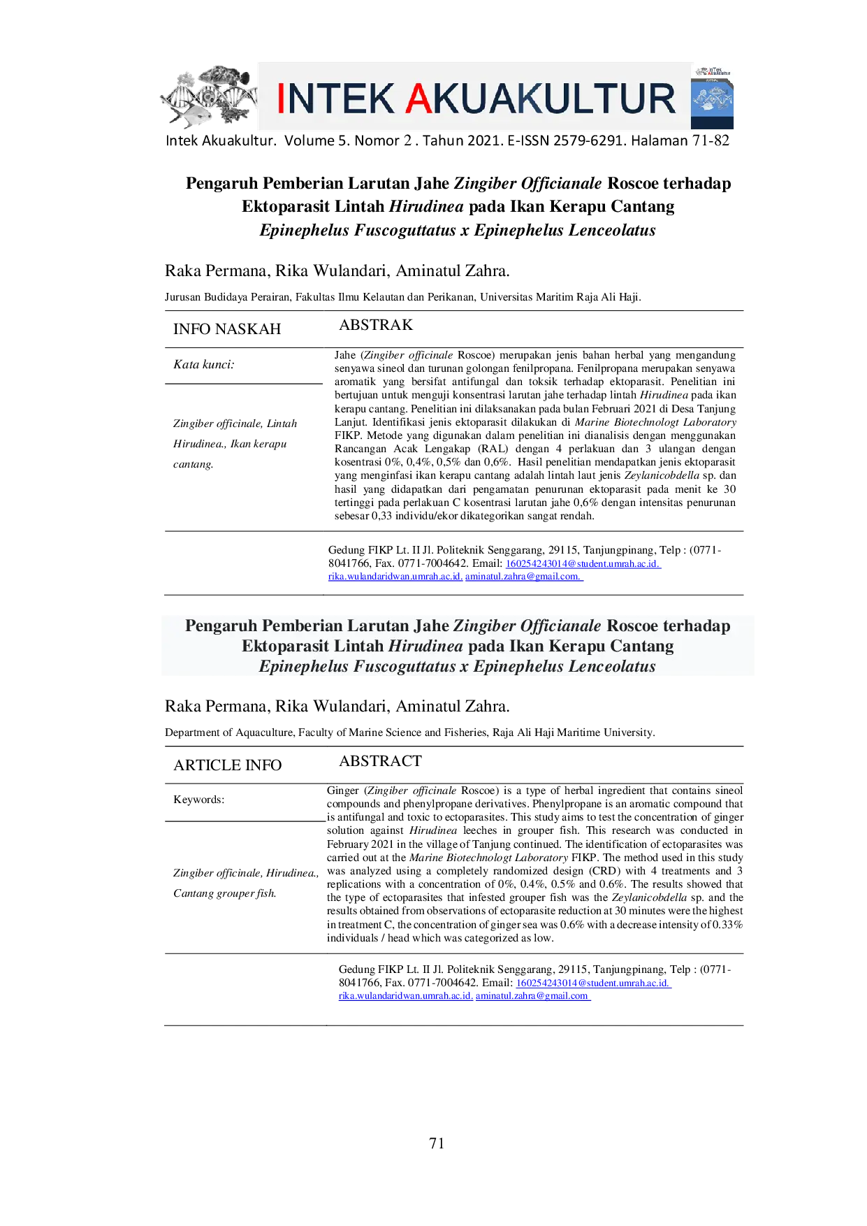 JURIS Pengaruh Pemberian Larutan Jahe Zingiber Officianale Roscoe terhadap Ektoparasit Lintah Hirudinea pada Ikan Kerapu Cantang Epinephelus Fuscoguttatus x Epinephelus Lenceolatus
