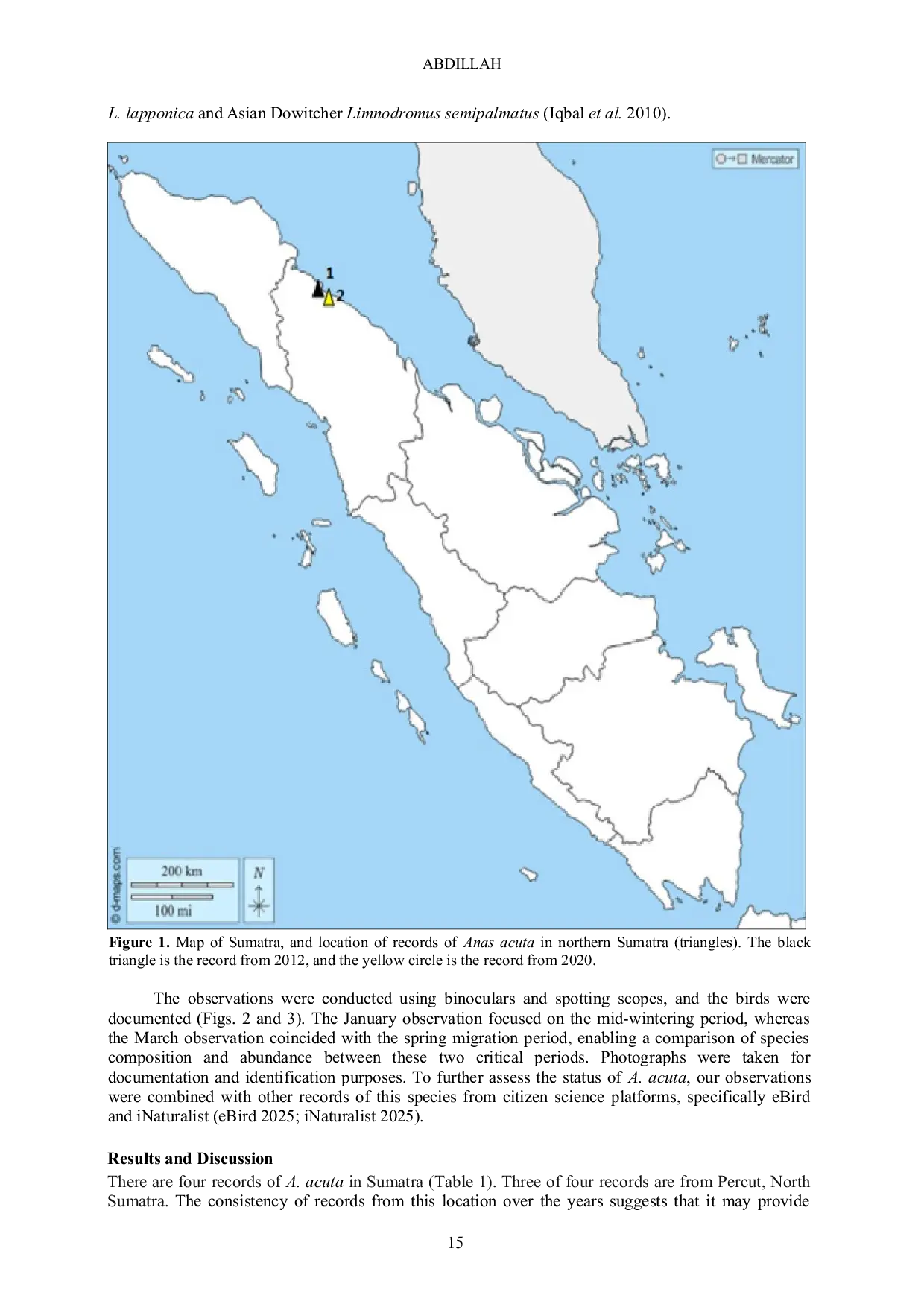 JURIS Status of the Northern Pintail Anas acuta Anseriformes Anatidae in Sumatra