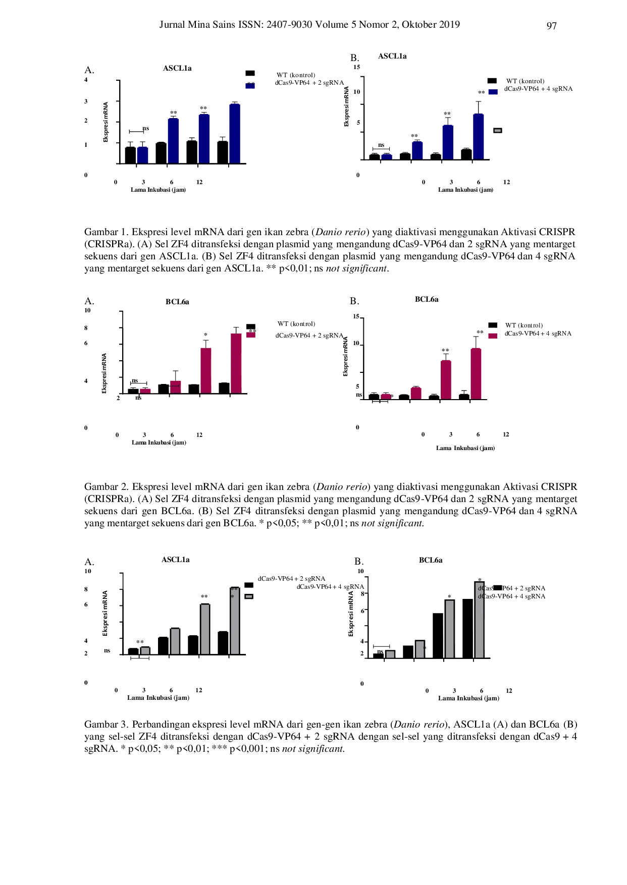 JURIS APPLICATION OF CRISPR ACTIVATION CRISPRa SYSTEM TO ZEBRAFISH Danio rerio GENES