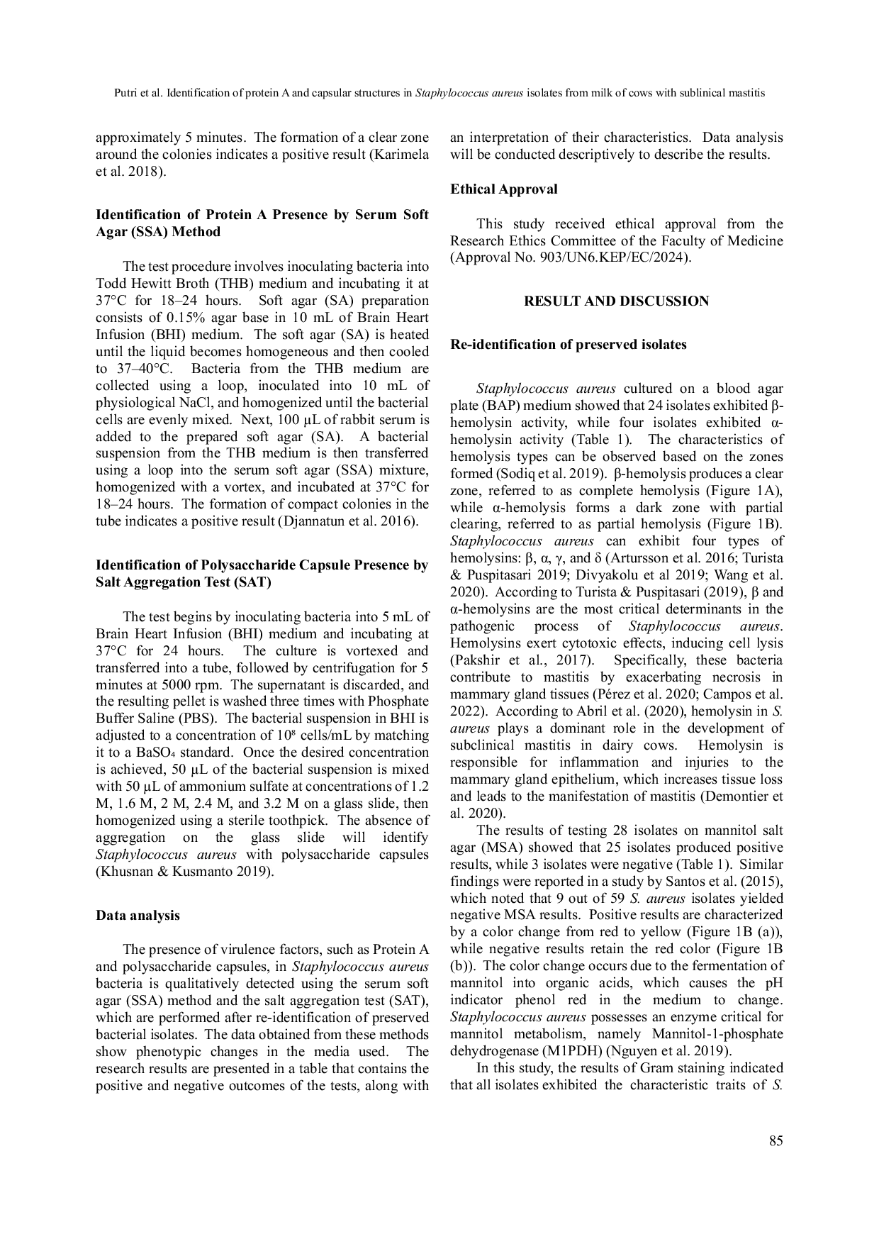 JURIS Identification of Protein A and Capsular Structures in Staphylococcus aureus Isolates from Milk of Cows with Subclinical Mastitis