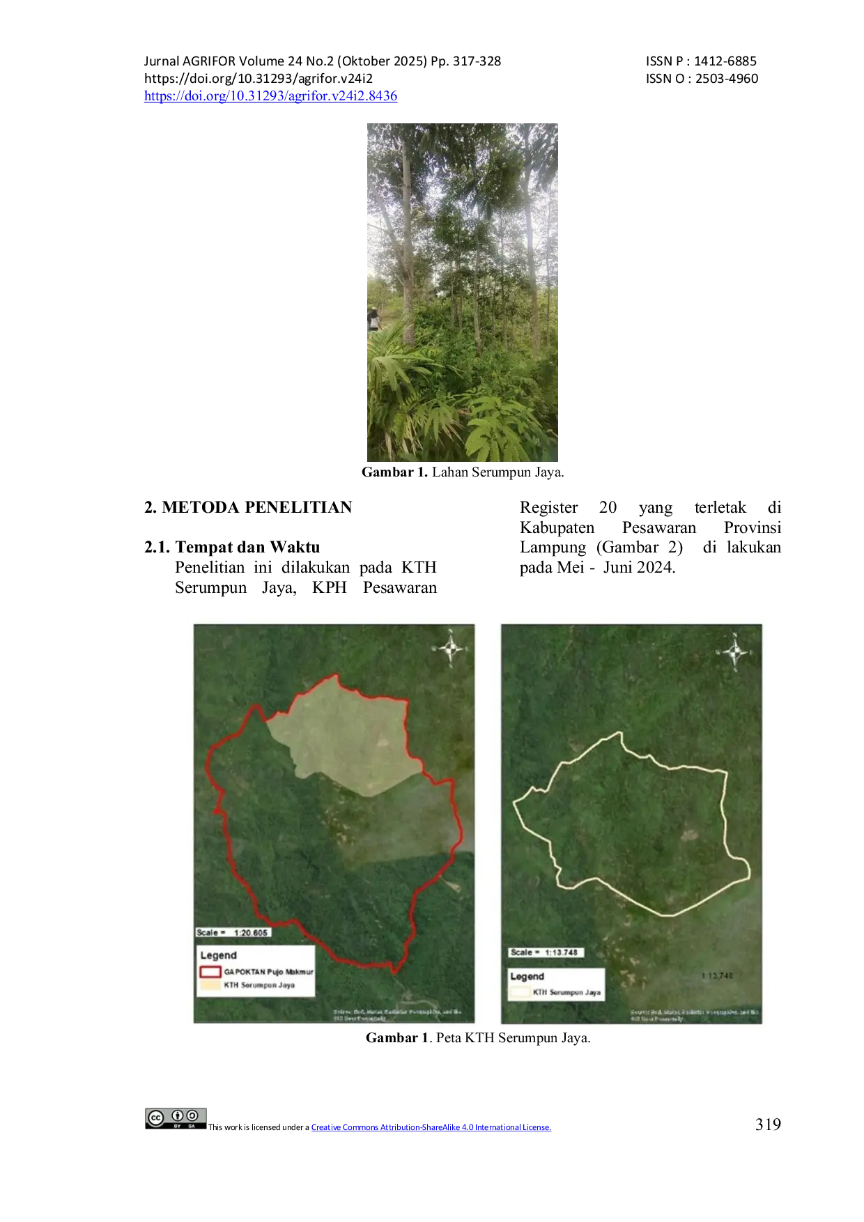 JURIS Dampak Pengembangan Agroforestri Terhadap Struktur Vegetasi Tanaman dan Pendapatan Masyarakat Study Kasus KTH Serumpun Jaya Kabupaten Pesawaran Provinsi Lampung