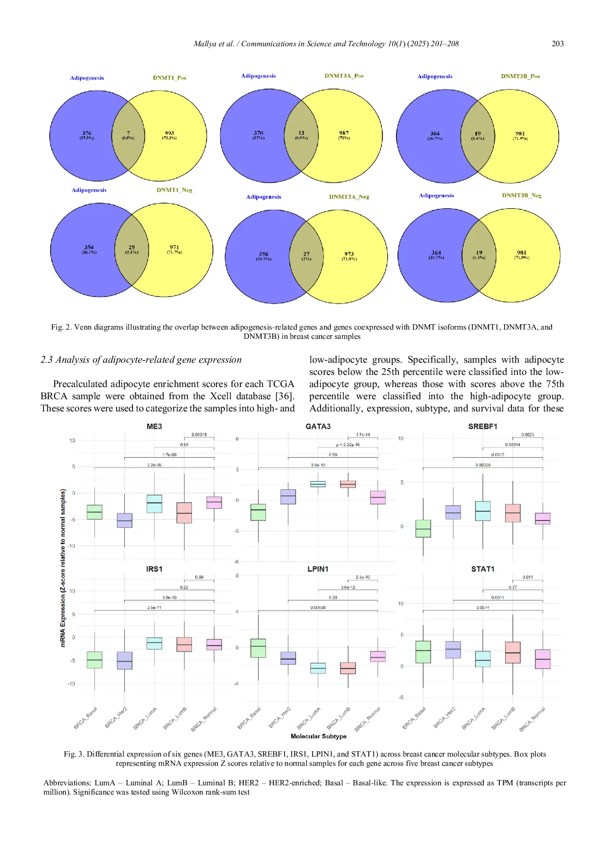 JURIS Investigation of DNMT mediated DNA methylation and its role in adipogenesis and breast cancer