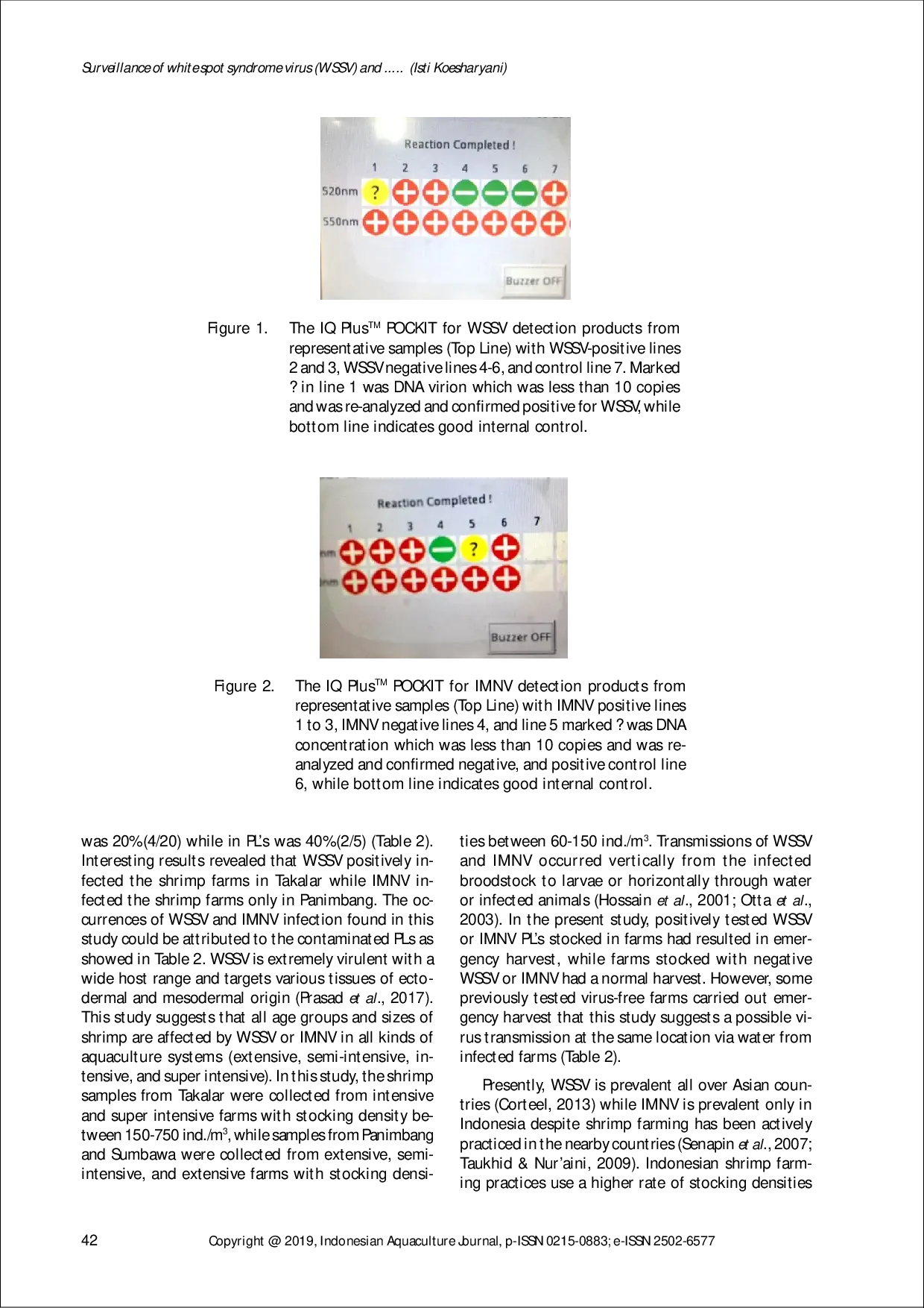 juris SURVEILLANCE OF WHITE SPOT SYNDROME VIRUS WSSV AND MYONECROSIS VIRUS IMNV INFECTIONS IN CULTURED Litopenaeus vannamei